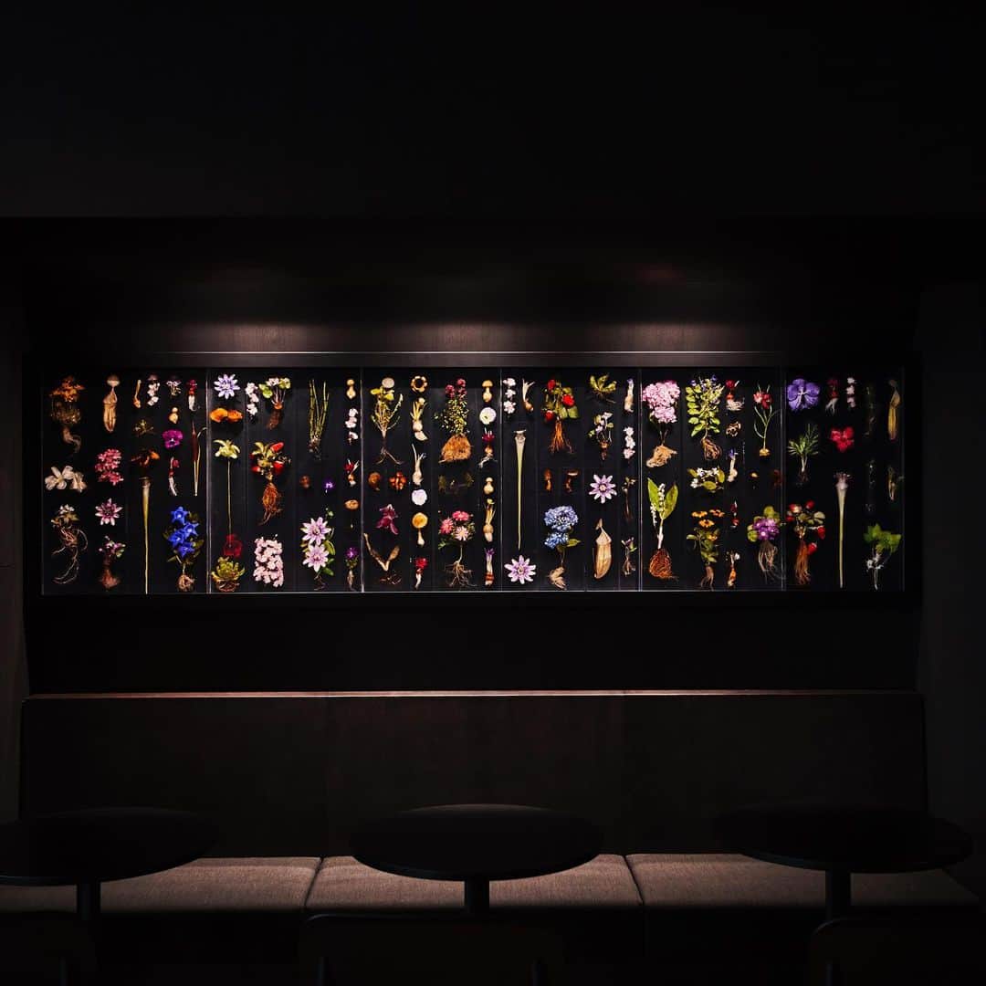 椎木俊介のインスタグラム：「Block Flowers #azumamakoto #makotoazuma #shiinokishunsuke #東信花樹研究所 #東信 #amkk #flowerart  #amkkproject #Blockflowers」