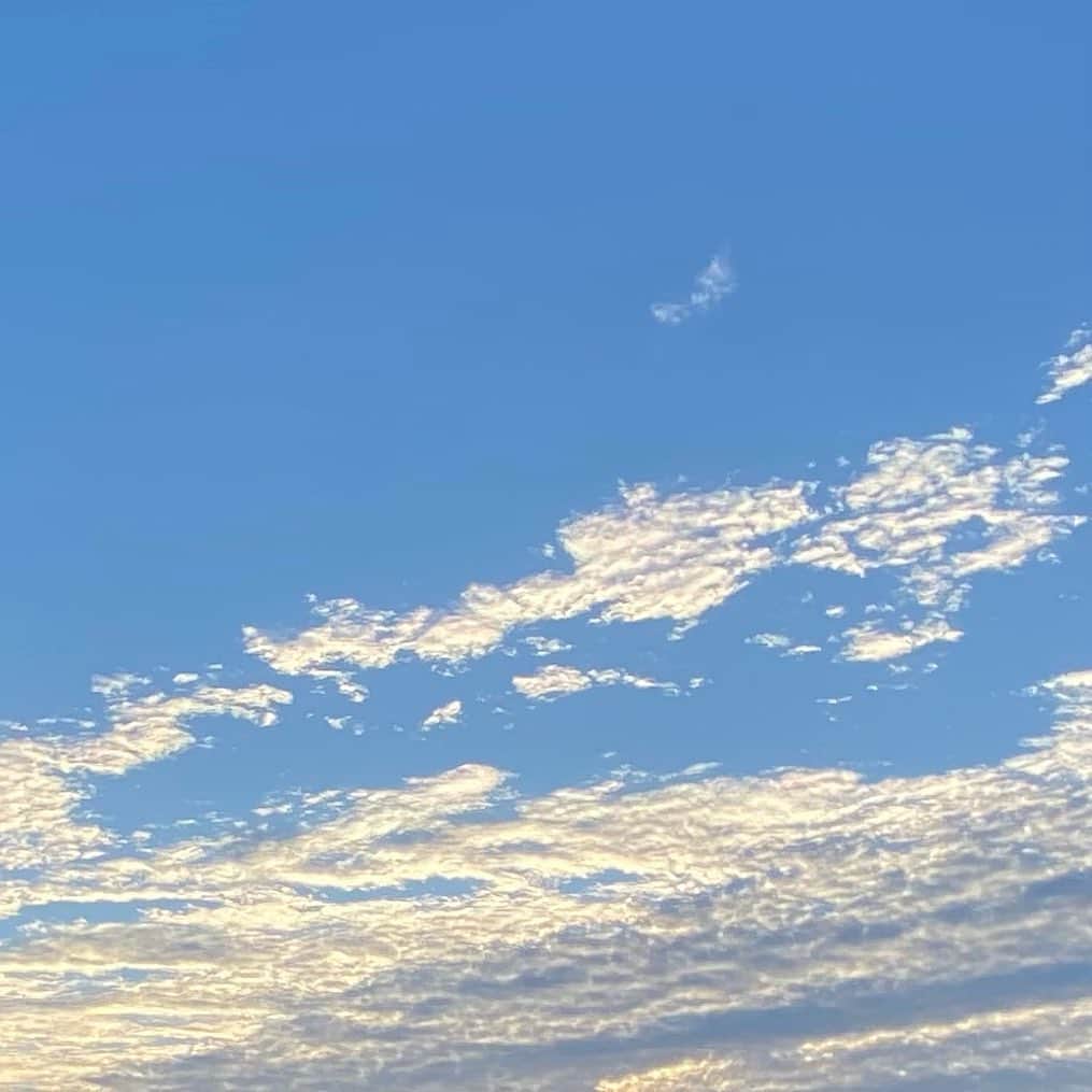 舞子のインスタグラム：「🌤⛅️🌥 ⋆︎* 7:15 a.m. 空がめっちゃ綺麗！ 空気も澄んでて、気持ちのいい朝🕊 𓈒 𓂂𓏸  お洗濯しよっと♪🧺  今日で11月もおわり❕ いい一日になりますように😸❤️ 幸せな日にしようね🌼 ・ ・ ・ #monday #morning #sky #clouds  #november #30 #2020  #☀️ #☁️ #🕊」
