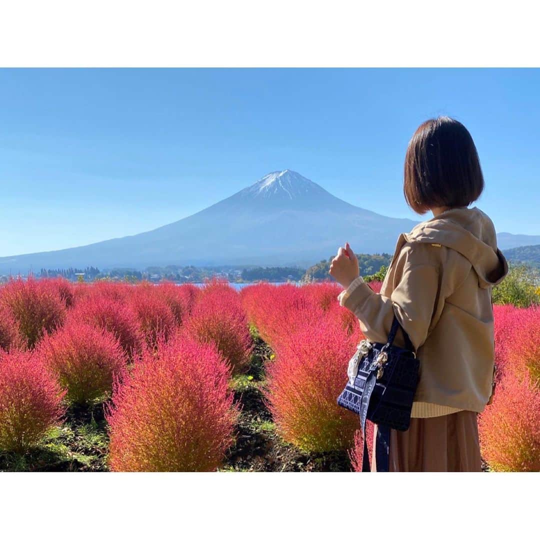 小川あゆ美さんのインスタグラム写真 - (小川あゆ美Instagram)「. 真っ赤なコキアと富士山の絶景🗻✨ 毎年来たい(ˊᵕˋ)♡*｡꙳ . . . . . #山梨観光 #大石公園 #コキア #富士山 #日本の絶景 #カメラ女子 #東京カメラ部 #広がり同盟 #お写んぽ #そらふぉと #カメラのある生活 #キリトリセカイ #mtfuji #fuji #team_jp #japanphoto  #lovers_nippon #views #love #beautiful #travel  #후지산 #하늘 #자연 #파랑 #좋아요반사 #좋아요늘리기 #일본 #사진 #야마나시」11月30日 7時19分 - ayumi_ogawa