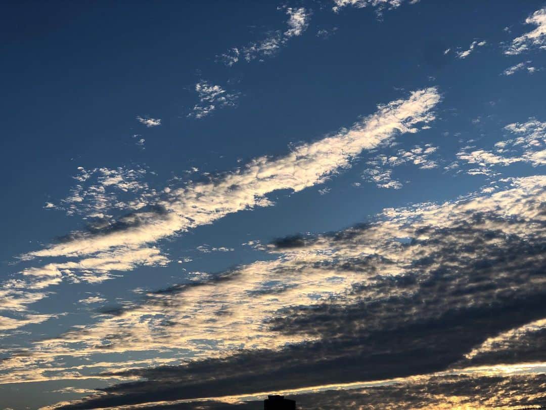 石原詢子さんのインスタグラム写真 - (石原詢子Instagram)「今朝の1枚。この時期から日が昇る場所はビルで遮られちゃうの。 日が昇るのが遅くなったなぁ〜  不思議な色のコントラスト  #今朝の1枚 #朝の雲 #朝焼け #雲の流れが早い #寒い朝 #日が昇る のが #遅くなった #今日から１週間 #頑張りましょうね #石原詢子」11月30日 7時48分 - junko_ishihara.official