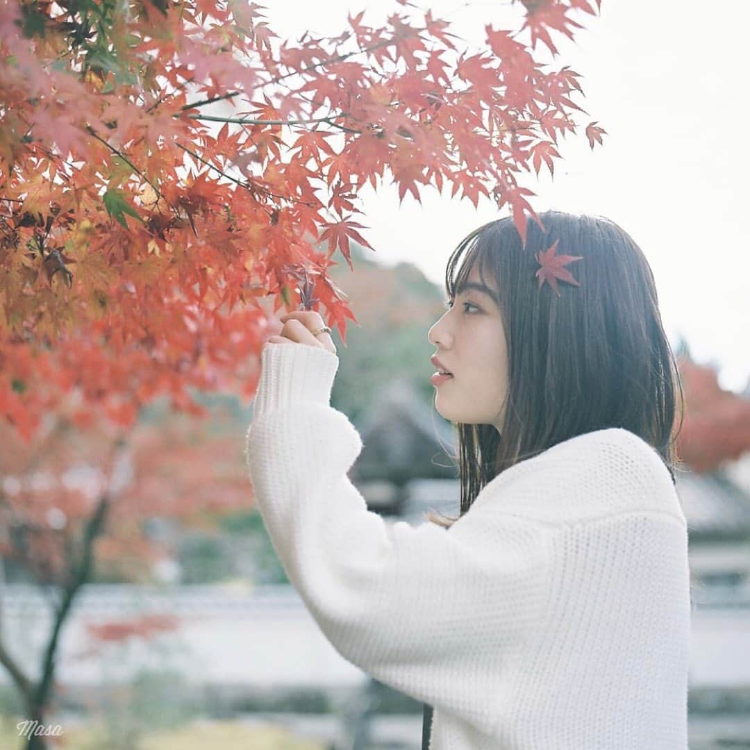 Masaさんのインスタグラム写真 - (MasaInstagram)「. . . 昨日は、午前、先週一緒したしおりちゃんと合流📷午後は、前撮りというハードスケジュールでしたが充実でした😊 . 前撮りはやっぱりプレッシャーでした💦 . . 撮影日 : 2020年11月23日 . #まっセル #エビプリ #hasselblad #ハッセルブラッド  #instagramjapan #igersjp #tokyocameraclub #team_jp_  #art_of_japan_ #photogenic_jp #GPW_members_only #good_portraits_world #film_jp #film #フィルム #film_com #filmcamera #filmphotography #portrait #ポートレート #photogram_archive #todays_blue_collection #team_jp_ #京都 #kyoto #南禅寺 #紅葉 #何気ない瞬間を残したい」11月30日 7時55分 - masa_nikonist