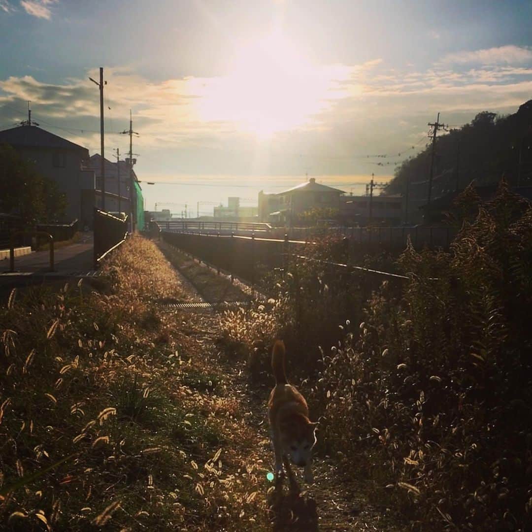 HALFBYのインスタグラム：「冬」