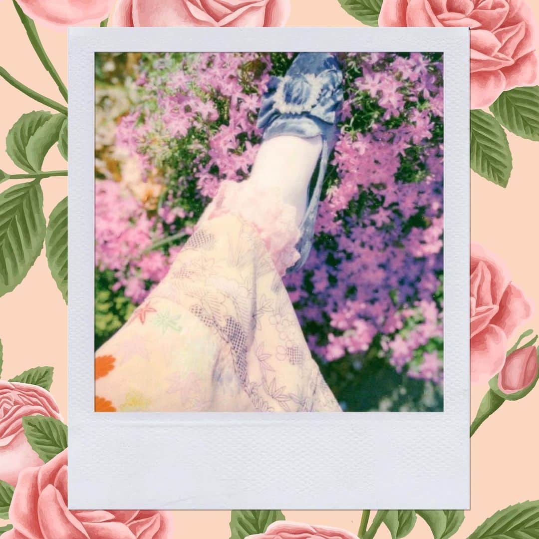 オードリー・キッチングのインスタグラム：「Have you ever seen the secret paintings that live inside flowers? ★」