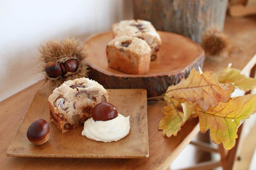 樋口智恵子のインスタグラム：「Seasonal event chestnuts picking in my little farm🌰Chestnuts cake inside caramelized walnut👩🏻‍🍳🌰🍂 . . . . 少し前ですが、栗拾いした時に久々に栗とキャラメリゼした胡桃のパウンドケーキを焼きました🌰🍂 ずいぶん前に通っていたお菓子教室　@lecafedubonbon.official のレシピで作ってみたのですがやっぱり美味しい！ . . . . #chestnutspicking #chestnuts #栗拾い #seasonalfood #季節の食材 #お菓子作り #lecafedubonbon #栗のパウンドケーキ  . #アロエは焼いている間ずっとオーブン前で待っていました🐶 #食べられないのに😅」