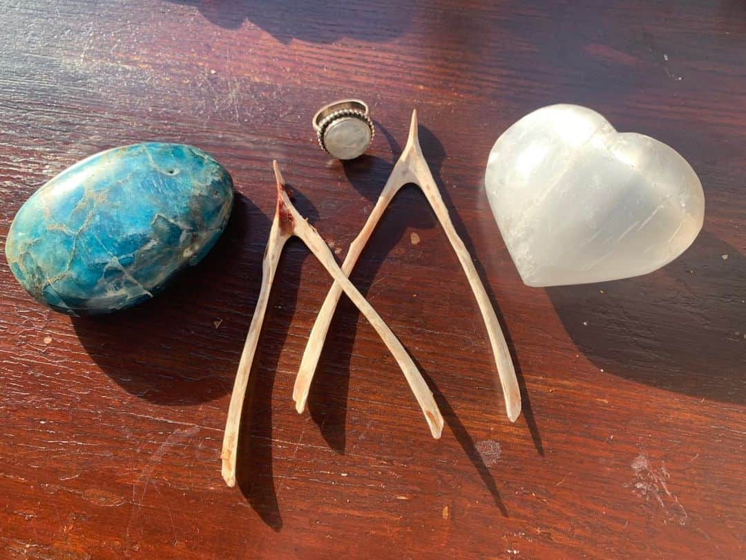 カイヤさんのインスタグラム写真 - (カイヤInstagram)「Full moon in Gemini Eclipse Moonstone, selenite, labradorite  Excellent stones for full moon power!! . . . . . . . . . #caiya #fullmoon #power #powerstones #wishes #manifest #dream #psychic #love #forgive #awaken #awakenyoursoul #soul #shaman #native #nativeamerican #lifestyle #liveinlove #gentle #kind #true #truth #light #kindness #fillitup #lightyourjoy #lightyourjoy #path #insight #journey」11月30日 9時11分 - caiya.kawasaki