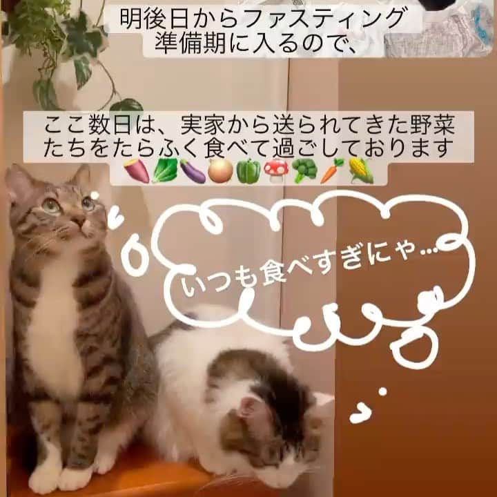 ブランシュール銀座店のインスタグラム：「人生の半分を「エステティシャン」として過ごしていますが、 #ファスティング これだけはどうしても苦手で、「痩せたい時は食べた分以上に運動する」をモットーに生きてきました🙄  しかし、ファスティングは減量や「ダイエット」の為だけではありません。 詳しい事は大人の事情で記載できませんが（笑）、健康美には欠かせない腸内環境の為のファスティングです♪✨  #ハイパーナイフ#痩身#銀座#完全予約制 #エステ歴20年 #アラフォーダイエット仲間募集中」