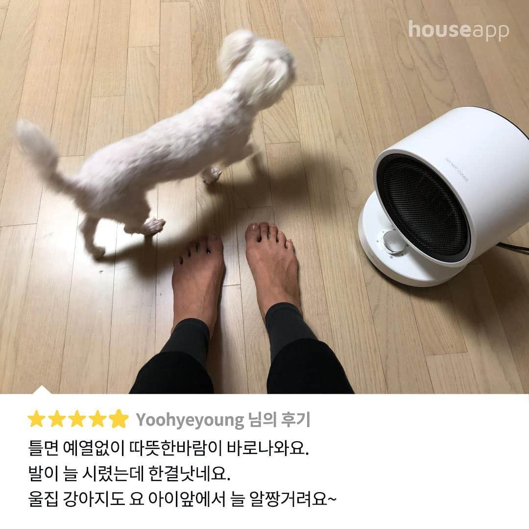 ingerliselilleさんのインスタグラム写真 - (ingerliselilleInstagram)「예열이 필요없는 고효율 화이트 히터✨29,900원+무료배송까지🚚  . 🛒구매는 사진 속 제품태그 터치 👆🏻 . 🛒@housegram_ 프로필 링크 또는 하우스앱에서 '퀸센스 히터’를 검색하셔도 구매 가능합니다. . 이 상품, 실제로 시연해봤어요.  정말 깜짝 놀랐던게, 약 60초만에 따뜻한 공기가 풍성하게 나와서 빠르게 공간을 따뜻하게 데워줘요.  게다가 디자인은 얼마나 귀엽고 심플한지 보자마자 감탄 연발♥  그리고 혹시나 쓰러지거나 과열 되지 않을까 걱정했는데 살짝 들기만해도 알아서 정지하더라구요!  약 90도~120도사이로 회전하기때문에 넓은 면적으로 사용할 수 있어요.  사무실이던 거실 방안에서 사용하기 매우 좋은 사이즈와 디자인이 정말 만점 상품이에요.  무려 70%할인의 기회를 절대~ 놓치지마세요!」11月30日 9時42分 - houseapp_official