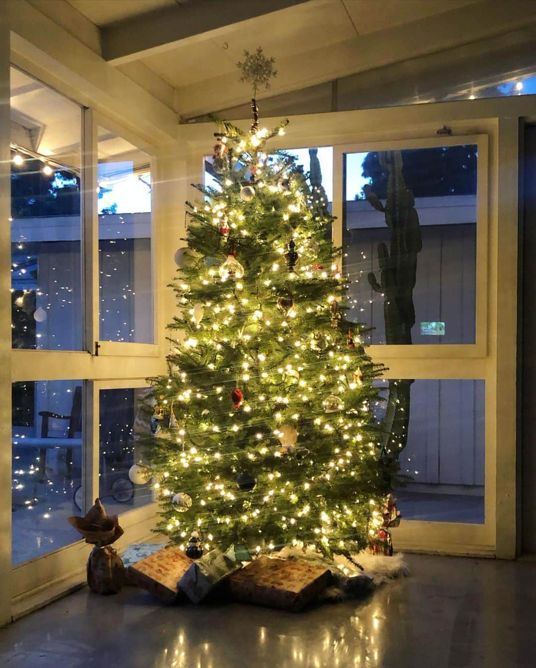Samuel Lippkeのインスタグラム：「Absolutely love having a fresh noble fur full with meaningful decorations and hiding gifts underneath. Favorite season of the year. Love transforming our home from poolside living to cozy in every corner. What’s a tradition you will never let go of? 🎄🙏🏽#Thelippkes」