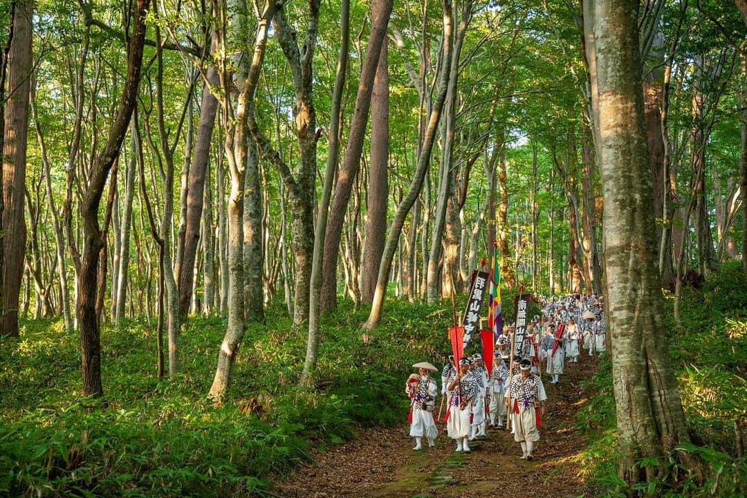 Michael Yamashitaさんのインスタグラム写真 - (Michael YamashitaInstagram)「A walk in the woods - Yamabushi, Japanese mountain ascetic monks, climb the 2,446-step stone stairway through cedar forests to the summit of Mt. Haguro. They are followers of shugendō, an ancient religion combining aspects of mountain worship, Buddhism, Shintoism and Taoism. Critical to their beliefs is the pursuit of enlightenment through communing with nature over long periods. The religion places a heavy emphasis on asceticism and feats of endurance. White and saffron-robed yamabushi toting horogai conch-shell trumpets are still a common sight near the shugendō holy sites of Dewa Sanzan of which Mt. Haguro  is the most famous. Dewa Sanzan is a popular pilgrimage site visited by many, including famed haiku poet Matsuo Bashō, who walked these same steps alongside yamabushi in the 17th century.    #yamabushi #haiku #shugendo #matsuobasho #basho #haguro #dewasanzan #okunohosomichi」11月30日 10時19分 - yamashitaphoto