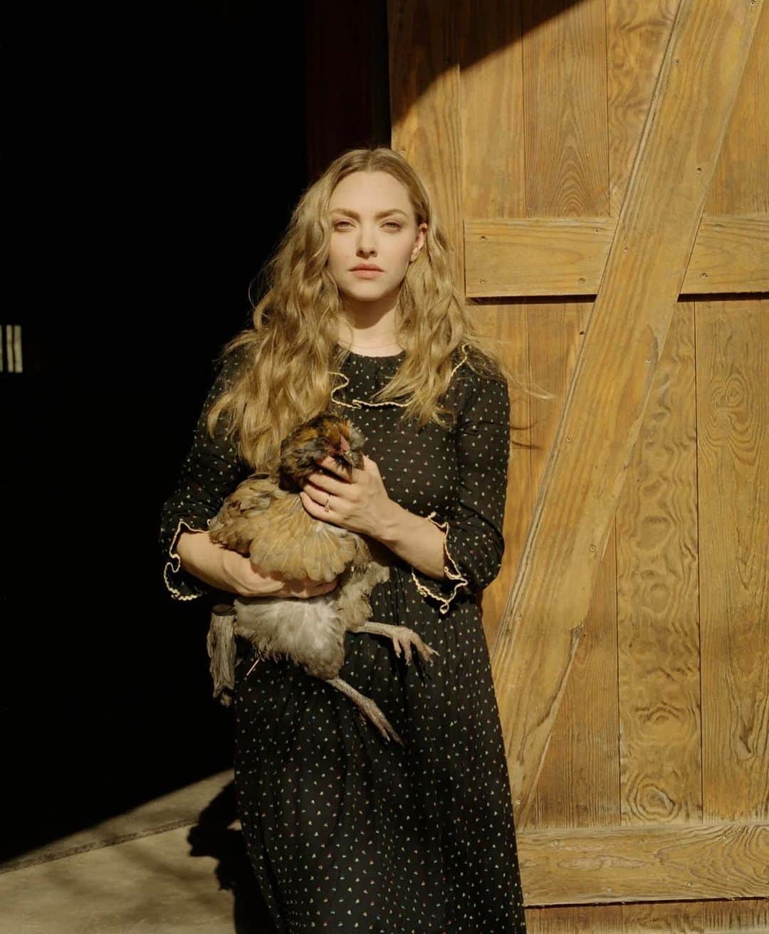 アマンダ サイフリッドさんのインスタグラム写真 アマンダ サイフリッドinstagram Kylethomasbuchanan Really Gets Me And All Of My Feathered Four Legged And Horned Friends Nytimes 11月30日 10時33分 Mingey