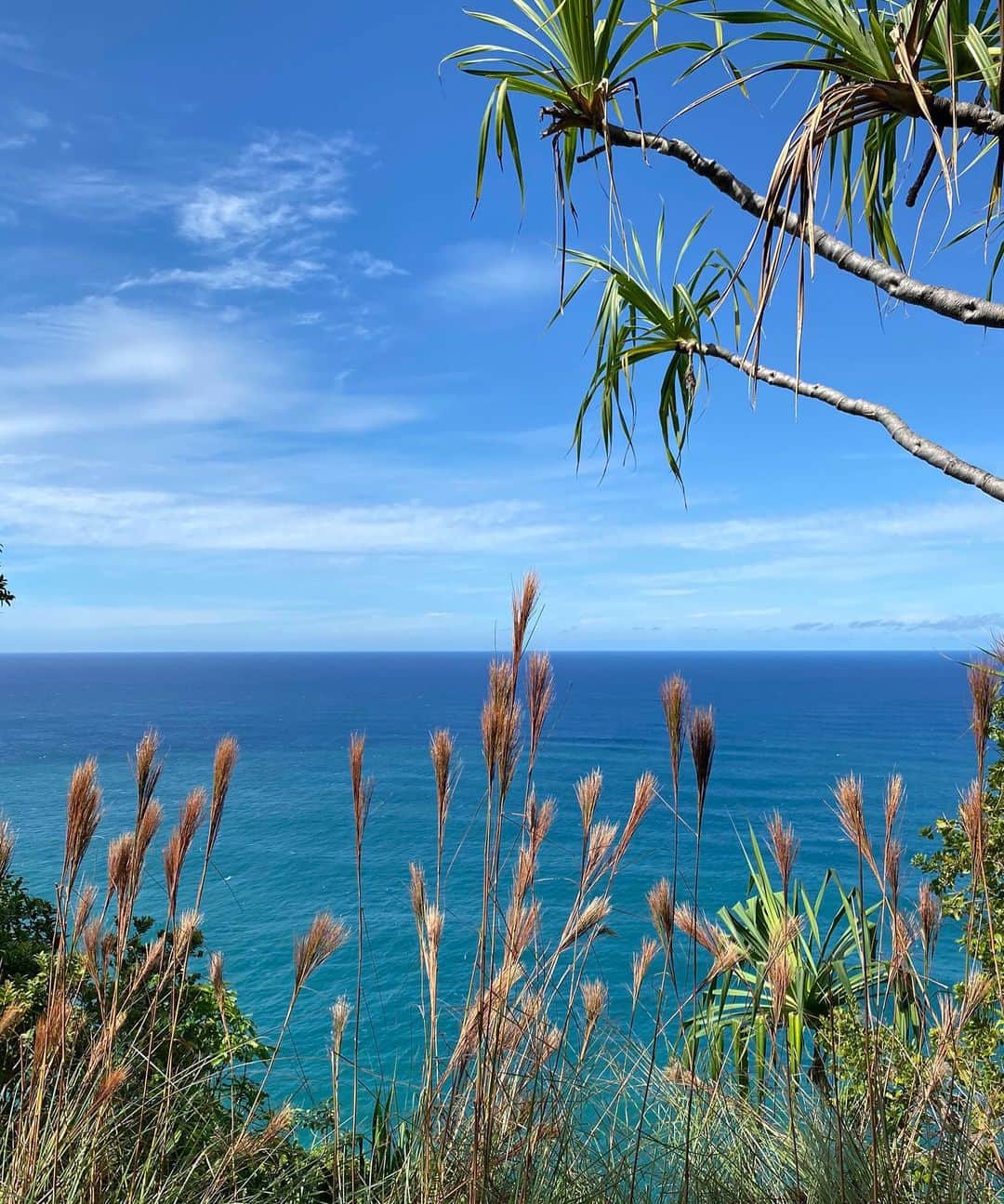 トリ・プラバーのインスタグラム：「No filter- life is really just this gorgeous 💙」
