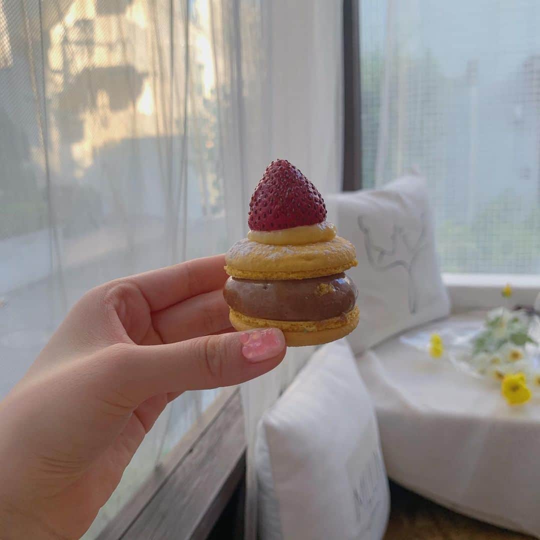 のインスタグラム：「🎂  12月15日(火)は〜〜？！  ❤︎...🐰🍥🎂...❤︎  APOKALIPPPSの冬生まれ🎅🏻🍼 べにんごとゆり丸の合同生誕祭❣️  ダンスマシーン１号と２号だよ🕺笑  みんな来て欲しいなぁ〜(T . T)💓 だって年に１度のお誕生日だもん！ この日はうちらが主役だよ😍わ~い  会場は新宿MARZさん❣️ 時間帯は平日なので夜です🌙  お仕事帰り学校帰り、会いに来てね💗  その他諸々今詳細は詰めてるから もう少し待っててね☺️✨ 楽しい日になることだけは約束する💗  配信も出来るといいなぁ😭  詳細待っててね🎅🏻❤︎  せっかくべにんごと合同だから なにか一緒にやりたいんだけど みんなべに丸でこれ見たい！とか あったらなんでもリクエスト コメントくれたらうれしい！💌 恥ずかしかったらDMでもいいよん❤︎  待ってるね〜🐑📮  ❤︎...🐰🍥🎂...❤︎」