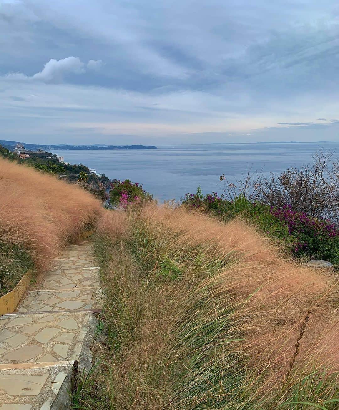 山本 絵里加のインスタグラム：「_ さくっとリフレッシュ旅in熱海♡ 山の上から見る海が綺麗だったな〜 #熱海旅行#熱海#アカオハーブアンドローズガーデン  #知らぬ間に全身筋肉痛#起きたら身体ガチガチ#ダンス1日したあと以上#一体なにがおきたの笑😥」