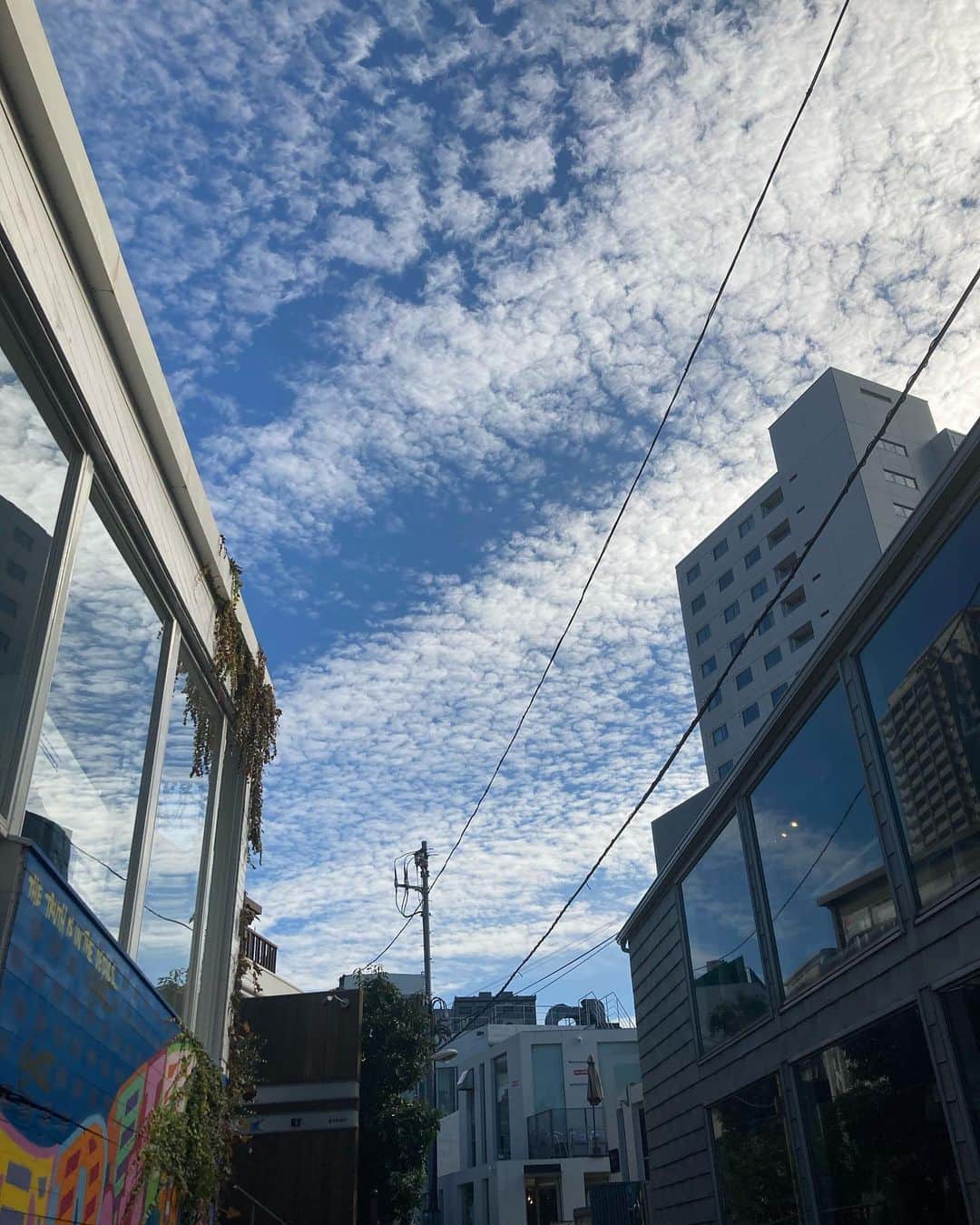 B JIRUSHI YOSHIDAさんのインスタグラム写真 - (B JIRUSHI YOSHIDAInstagram)「おはようございます。 只今の代官山地区の天候は晴れ。 本日の最高気温は16℃の予報です。 11月最終日、日差しもあり日中は暖かそうですね。 ・ 本日はこのメンバーでご案内いたします。 今日は、K-POP好きのスタッフがおりますので(特にBLACKPINK.TWICE.NIZIU)韓国のアイドルがお好きなお客様がいらっしゃればバックやお財布探しのついでに是非お声がけください。 ・ それでは、本日も皆様のご来店をお待ちしております。 ・ 新型コロナウイルス感染拡大防止のため、B印 ヨシダ 代官山の営業時間を当面の間下記のとおり、変更させていただいております。  営業時間:11:00〜19:00 店舗:B印 ヨシダ 代官山  なお、B印 ヨシダ 成田空港第1ターミナルは、新型コロナウイルスの影響により、臨時休業中です。  お客様には大変ご迷惑をお掛けいたしますが、ご理解の程よろしくお願いいたします。  #beams #bjirushiyoshida #b印yoshida」11月30日 11時12分 - bjirushiyoshida