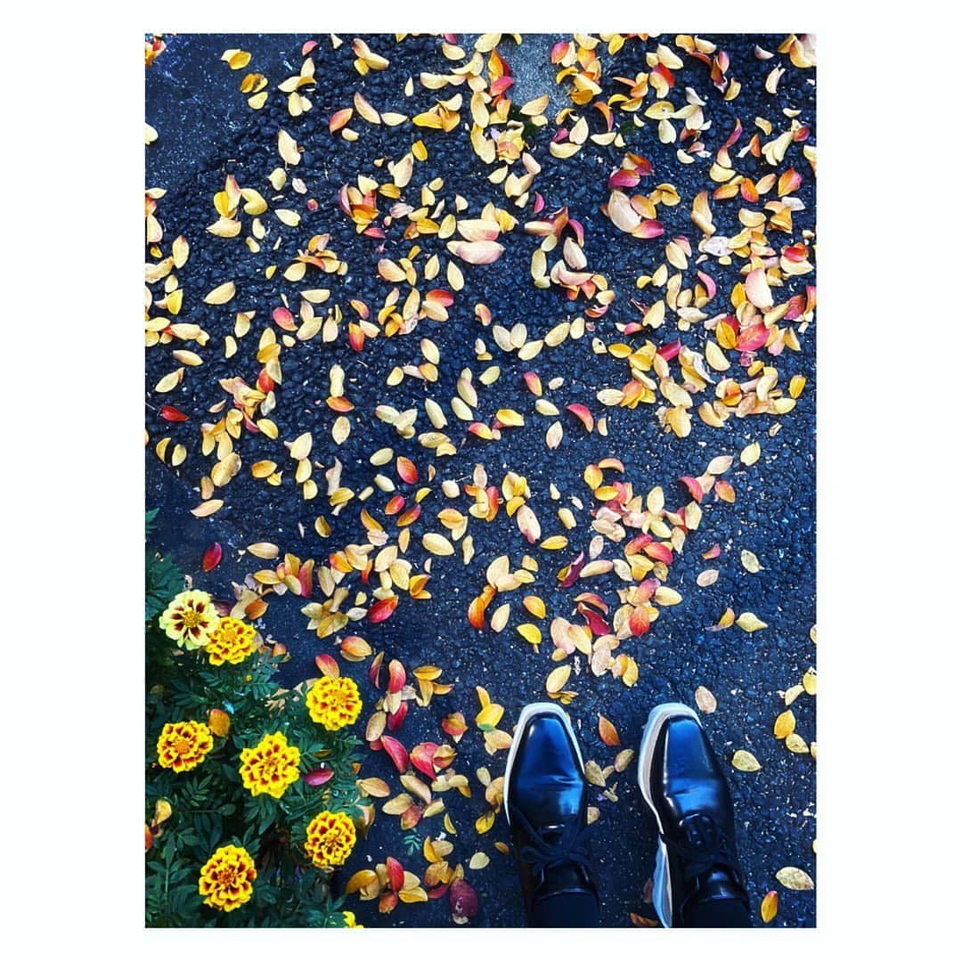望月理恵さんのインスタグラム写真 - (望月理恵Instagram)「足下の紅葉  ピーナッツに見える。。。」11月30日 11時15分 - mochiee28