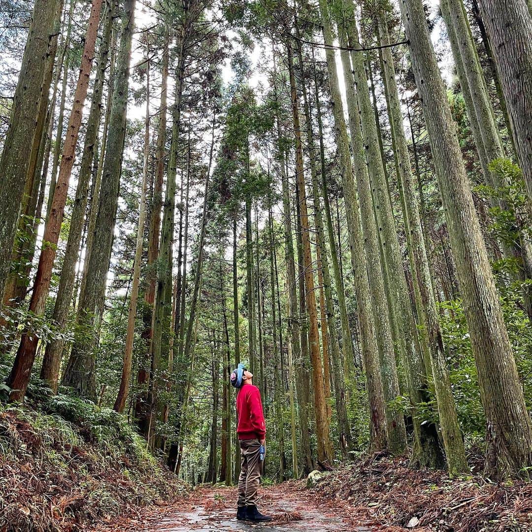 あっくんのインスタグラム：「どこを見渡してもこんな感じ。 自然のエネルギーって凄いっ！ 日本すごい！地球すごい！  とりあえずもっと身長高くなりたい！  #島根県 #shimane  #出雲市 #izumoshi #韓竈神社 #karakamashrine #パワースポッチャー」