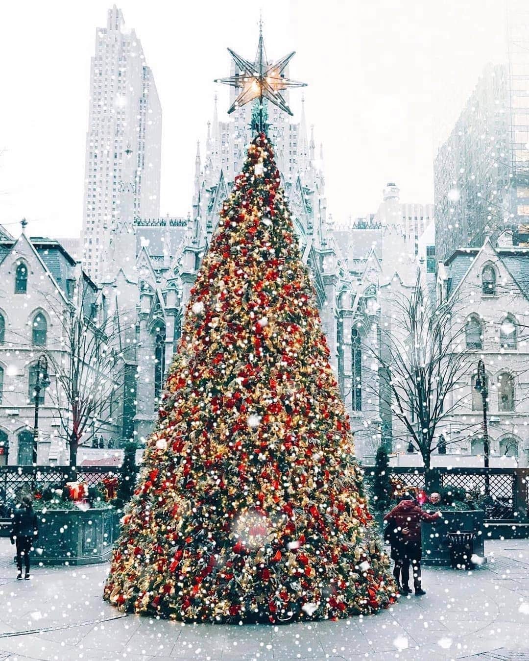 Padgramさんのインスタグラム写真 - (PadgramInstagram)「Christmas memories from NYC 🎄❄️ Courtesy of @ananewyork 📍New York, USA 🇺🇸 #pgdaily #pgstar #pgcounty #newyorkcity  #newyork #planetgo #planet #planetearth #amazing #awesome #nature」11月30日 11時41分 - planet.go