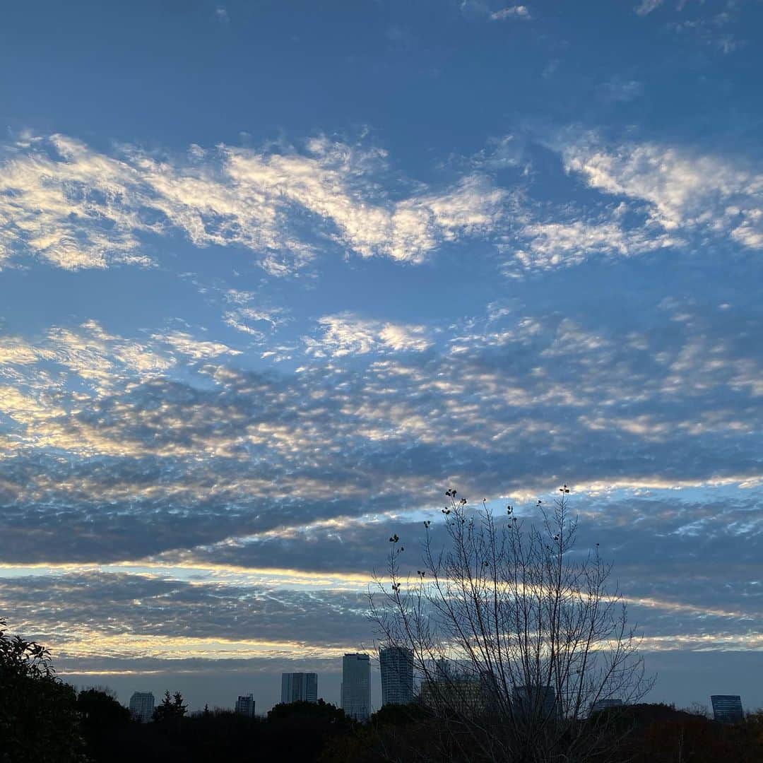 市川海老蔵 （11代目）さんのインスタグラム写真 - (市川海老蔵 （11代目）Instagram)「This morning ‘Twas a special sky. * 今日の朝 特別な空でした。」11月30日 12時06分 - ebizoichikawa.ebizoichikawa