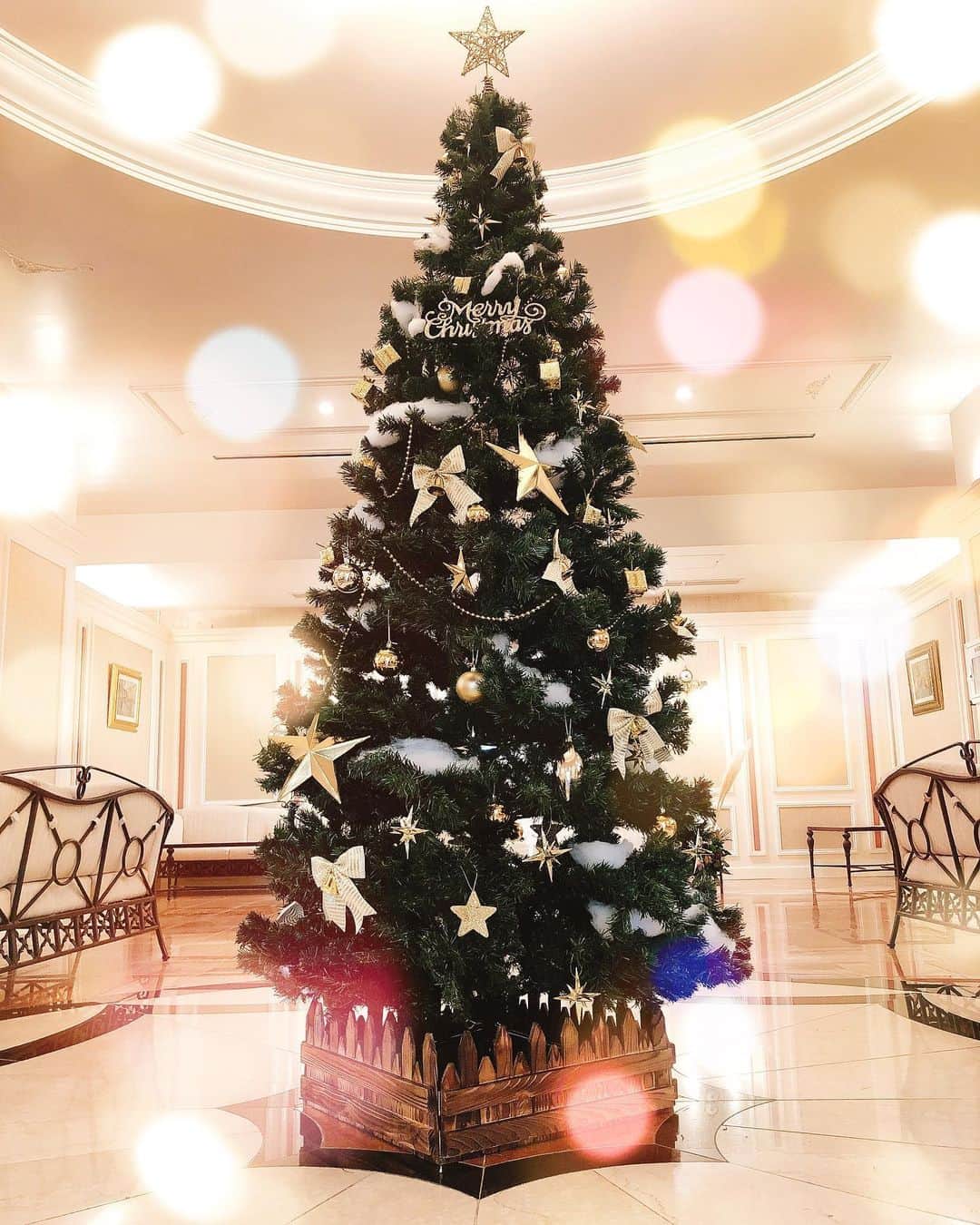 di grado dolce津のインスタグラム：「@dolce_tsu_heiankaku﻿ ﻿ 明日から12月❄﻿ 全国のカップル様、素敵なクリスマスはどう過ごすか、 決められましたか？﻿ まだの方も お昼時空いてる方も必見❗﻿ ドルチェからオススメのお知らせがあります✨﻿ ﻿ ﻿ ﻿ ＼🎅🏼12月20日は特別なクリスマスランチの開催🎄／﻿ ﻿ 12月20日（日）﻿ 時間：12:00～（受付11:30～）﻿ 料金：大人　2,500﻿  お子様　800（ランチプレート/小学生まで）﻿ ﻿ メニュー🍗﻿ ﻿ オードブル/  海の幸と野菜のリース仕立て﻿ スープ/ 旬野菜のクリームスープ﻿ メイン/  牛ほほ肉の赤ワイン煮込み　ヴィエノワーズ風﻿ デザート/  本日のデザート　～クリスマス特別バージョン～﻿ パン/  2種﻿ 食後のコーヒーor紅茶﻿ ﻿  素敵なクリスマスを#ディグラードドルチェ津 で過ごしませんか？﻿ 服装はいつもの服装でOK👕♡👚 ご家族様皆さんでお気軽にお越しくださいませ✨ 皆様からのご予約をお待ちしております(*’ω’*)﻿ ﻿ ﻿ 👉お問い合わせは、TEL 0120ｰ4122ｰ07﻿ 👉他のフェアを見たい方は、プロフィール欄のリンクより﻿ 👉またネット検索｢ディ・グラード・ドルチェ津｣﻿ ﻿ ぜひ#ディグラードドルチェ津 へお越しください。﻿ ﻿ ﻿ ﻿ ﻿ 🌱おすすめブライダルフェアはこちら🌱﻿ ﻿ 【挙式イメージ再現】ドレス着用◎階段入場リハーサルフェア﻿ ﻿ 👰🏻ドレス試着体験フェア🤵🏻 ﻿ 実際にウエディングドレスを試着して、披露宴会場にて階段入場体験できます👠﻿ 当日のイメージができる+衣裳試着ができる欲張りフェア👗﻿ ﻿ おふたりの「来てよかった」が見つかる、﻿ はじめての見学にはピッタリの式場フェア⭐﻿ ﻿ ◆日程◆12月☃️﻿ 5(Sat)6(Sun)﻿ 12(Sat)13(Sun)﻿ 19(Sat)20(Sun)﻿ 26(Sat)27(Sun)﻿ ﻿ ◆時間◆（3部制・要予約・無料）﻿ 第1部　9：30～12：30﻿ 第2部　10：00～13：00﻿ 第3部　11：00～14：00﻿ ﻿ ■相談会■﻿ おふたりの気になる、わからない、不安なこと解決💡﻿ やりたいことなどイメージがふくらむようご提案﻿ ﻿ ■お見積り■﻿ おふたりが挙げたい結婚式にどれくらい費用がかかるかわかりやすくご案内📄﻿ ﻿ ■会場見学■﻿ 1日1組貸切のウエディングステージもじっくりと体感！﻿ 煌く光と水の流れが心地よいスカイチャペル💒﻿ 温かみと厳かさの風合いが人気のクラシカルチャペル﻿ 白の御影石が映えわたる神殿🌿﻿ ドルチェ津の魅力がつまった1日1組貸切のウエディングステージを確認﻿ ﻿ ﻿ ﻿ #ドルチェ﻿ #ドルチェ津﻿ #ディグラードドルチェ津﻿ #クリスマスディナー #ウエディング﻿ #結婚式﻿ #結婚﻿ #プレ花嫁﻿ #プレ花嫁卒業﻿ #卒花嫁﻿ #2020冬婚﻿ #三重のプレ花嫁さんと繋がりたい﻿ #チャペル挙式﻿ #試着フェア﻿ #三重試着フェア﻿ #wedding﻿ #photo﻿ #weddingphoto﻿ #photowedding ﻿ #instawedding﻿ #instaphoto」