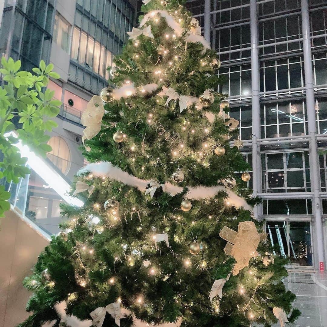 柚月彩那のインスタグラム：「名古屋にあったクリスマスツリー かわいかった」