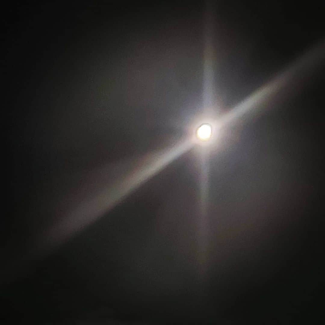 Pileさんのインスタグラム写真 - (PileInstagram)「. 昨日の深夜は満月の周りに虹が一周。 HALO(ヘイロー) 調べたら #ルナレインボー だって！ 肉眼で観た月が本当にキレイだった🌝 神話や星座を自粛中お勉強していたから 興味津々なんだ～！！ 清々しい満月だったな～🌝🌟！！！ 雲がかかった方が虹がわかりやすかったよ🥴 幸運が来るって言い伝えもあるらしいのでおすそわけ。 安心して毎日を過ごせる日々が再び皆のもとに戻ってくることを願って。😊 #moon #luna #halo #lunarainbow」11月30日 12時31分 - pi_channnn52