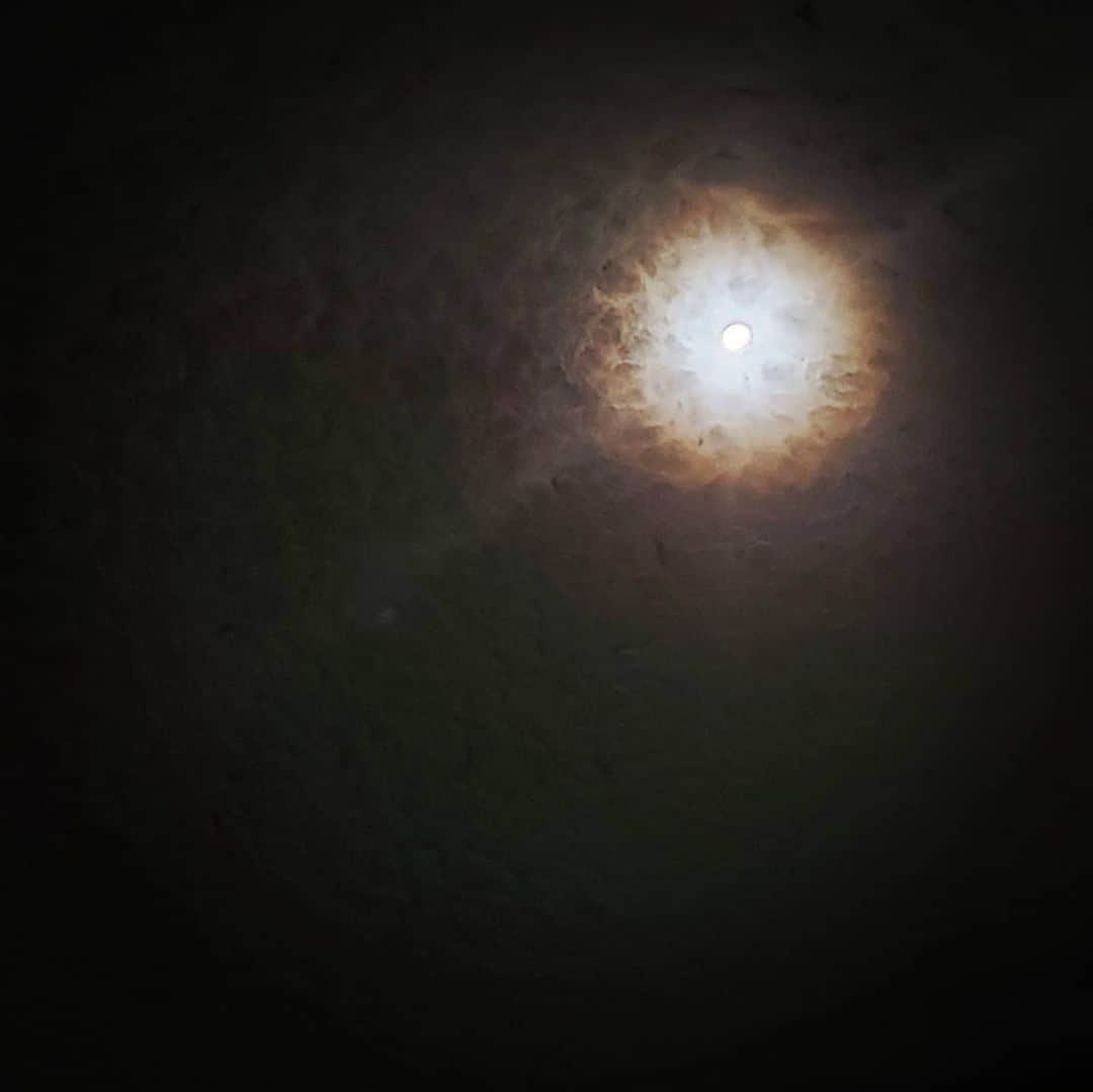 Pileのインスタグラム：「. 昨日の深夜は満月の周りに虹が一周。 HALO(ヘイロー) 調べたら #ルナレインボー だって！ 肉眼で観た月が本当にキレイだった🌝 神話や星座を自粛中お勉強していたから 興味津々なんだ～！！ 清々しい満月だったな～🌝🌟！！！ 雲がかかった方が虹がわかりやすかったよ🥴 幸運が来るって言い伝えもあるらしいのでおすそわけ。 安心して毎日を過ごせる日々が再び皆のもとに戻ってくることを願って。😊 #moon #luna #halo #lunarainbow」