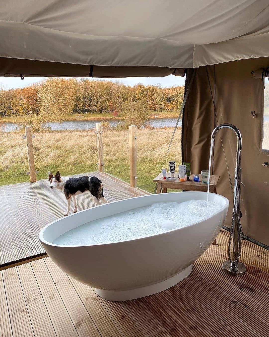 BEAUTIFUL HOTELSさんのインスタグラム写真 - (BEAUTIFUL HOTELSInstagram)「The perfect nature escape for a good dose of solitude! 🍂 This safari lodge has big egg-shaped bathtub and a lovely seating out on the deck, as you watch the geese and swans strolling into the land and its unspoiled lake. 🛁  And yes, Pinkfoot is pet-friendly so feel free to bring your dog at this getaway! 🐾  📸 @wethepeoplestyle 📍 @canopyandstars, Pinkfoot, Lincolnshire, United Kingdom」11月30日 22時41分 - beautifulhotels