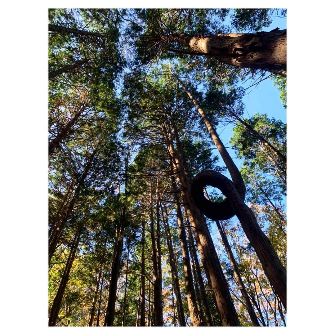 小林由佳さんのインスタグラム写真 - (小林由佳Instagram)「Beautiful moment in the wood🌳🍁🌳 Respect Nature¨̮  #OK木 @mammut_japan」11月30日 22時46分 - yuca_tan