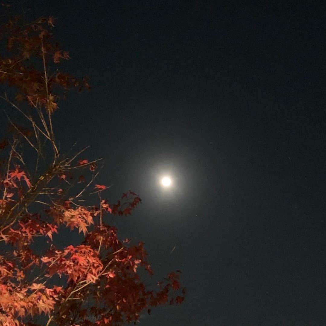 福井晶一さんのインスタグラム写真 - (福井晶一Instagram)「月が綺麗だなぁと思ったら今日は満月なのですね！  早いもので明日からとうとう12月(師走)  年末はバタバタしますけど心穏やかに思いやりを持って過ごしましょう。  月に想いを馳せて…  #満月 #11月も終わり #妹の誕生日 #ビーバームーン」11月30日 23時01分 - shoichi.fukui