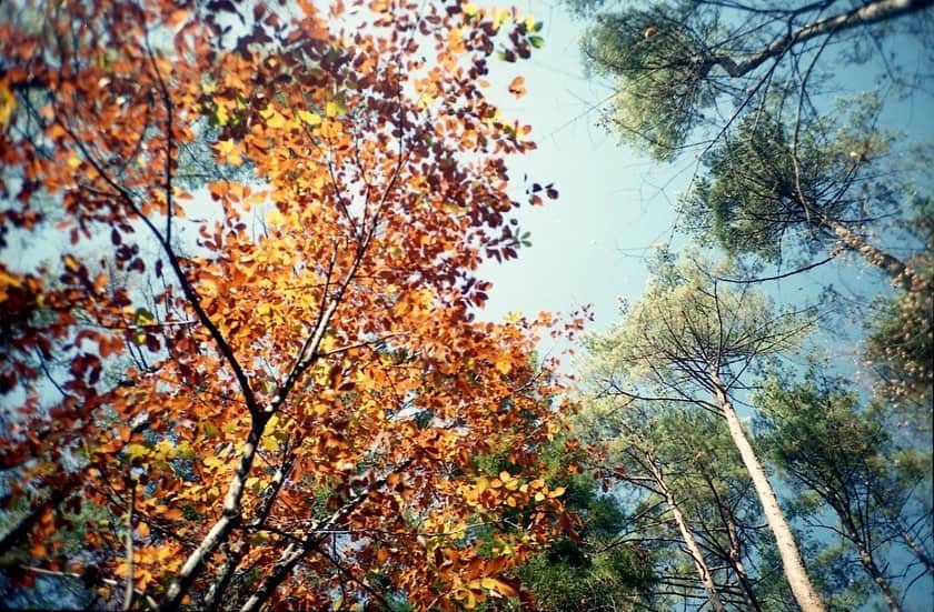 半田麗さんのインスタグラム写真 - (半田麗Instagram)「#reih_trip  たぶん呼吸する頻度で写真を撮ってた、星のや富士の思い出🗻 @hoshinoya.official  #星のや富士 #彼カメラ」11月30日 23時27分 - rei__handa