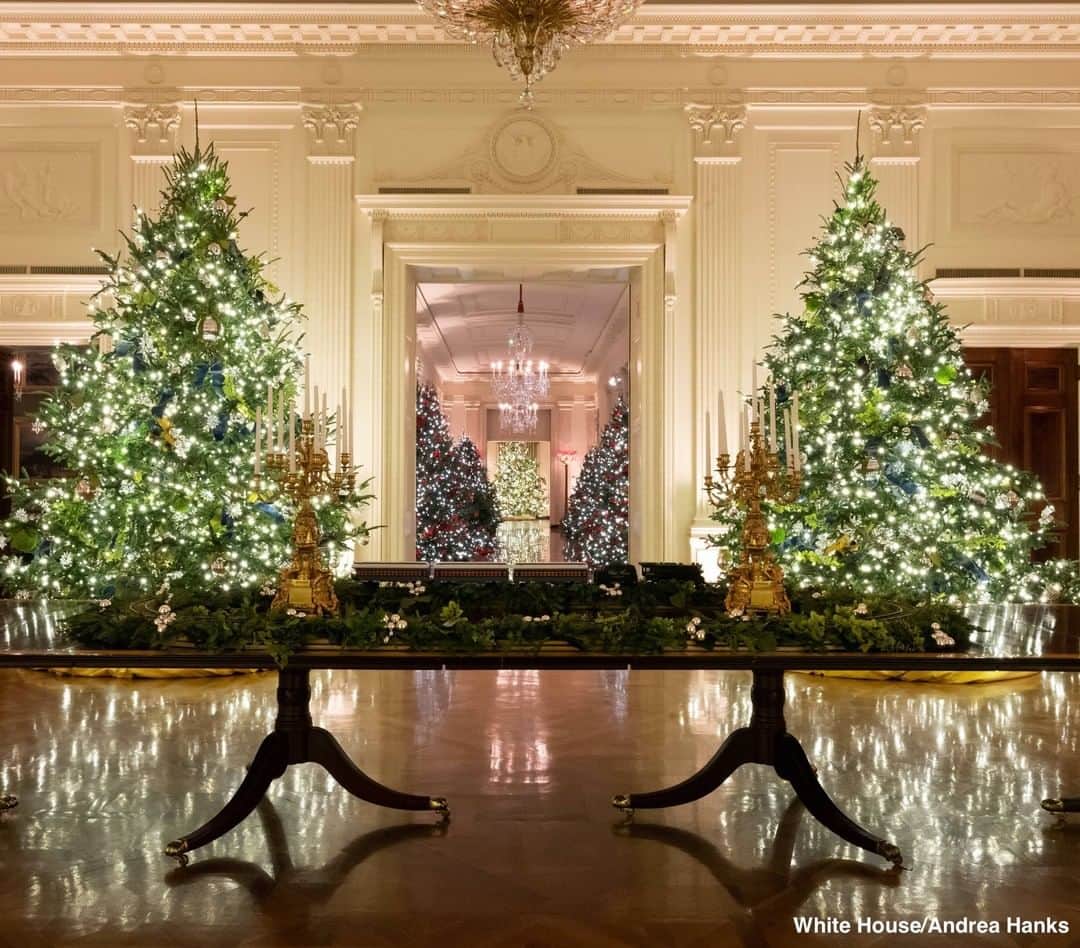 ABC Newsさんのインスタグラム写真 - (ABC NewsInstagram)「NEW: First lady Melania Trump reveals White House decor for the 2020 Christmas season, including artwork submitted for her "Building the Movement Exhibit: America’s Youth Celebrate 100 Years of Women’s Suffrage." #whitehouse #christasdecorations #melaniatrump #firstlady #christmastree」11月30日 23時20分 - abcnews