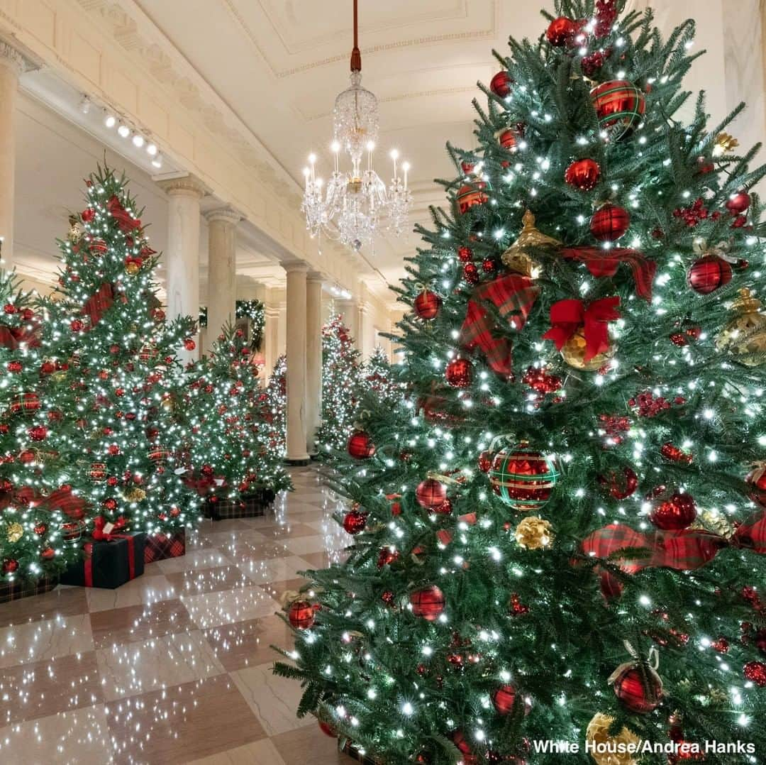 ABC Newsさんのインスタグラム写真 - (ABC NewsInstagram)「NEW: First lady Melania Trump reveals White House decor for the 2020 Christmas season, including artwork submitted for her "Building the Movement Exhibit: America’s Youth Celebrate 100 Years of Women’s Suffrage." #whitehouse #christasdecorations #melaniatrump #firstlady #christmastree」11月30日 23時20分 - abcnews