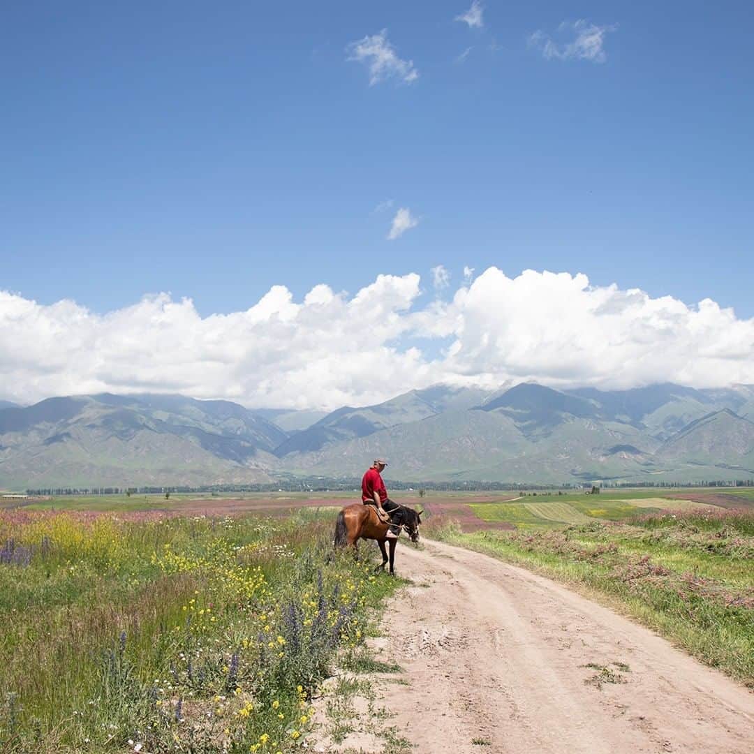 無印良品さんのインスタグラム写真 - (無印良品Instagram)「【Found MUJI】キルギス - 中央アジアに位置するキルギス共和国は、いくつもの国と国境を接する内陸国であり、ロシア文化の影響も色濃い多民族国家です。シルクロードの道中であったとも言われるイシククリ湖に点在する村々には、古来からの遊牧や羊毛フェルトの生産で生計を立てる人々がくらします。 - Found MUJI キルギスでは、昔ながらの遊牧民の知恵を見つめなおし、一点ずつ手づくりされる羊毛フェルトの商品をご紹介します。 - 2010年末より始まった MUJI とキルギスの地域活性化事業は、共にものづくりと向き合いながら、今年で10周年を迎えます。 - #無印良品 #MUJI #FoundMUJI #キルギス」11月30日 15時00分 - muji_global