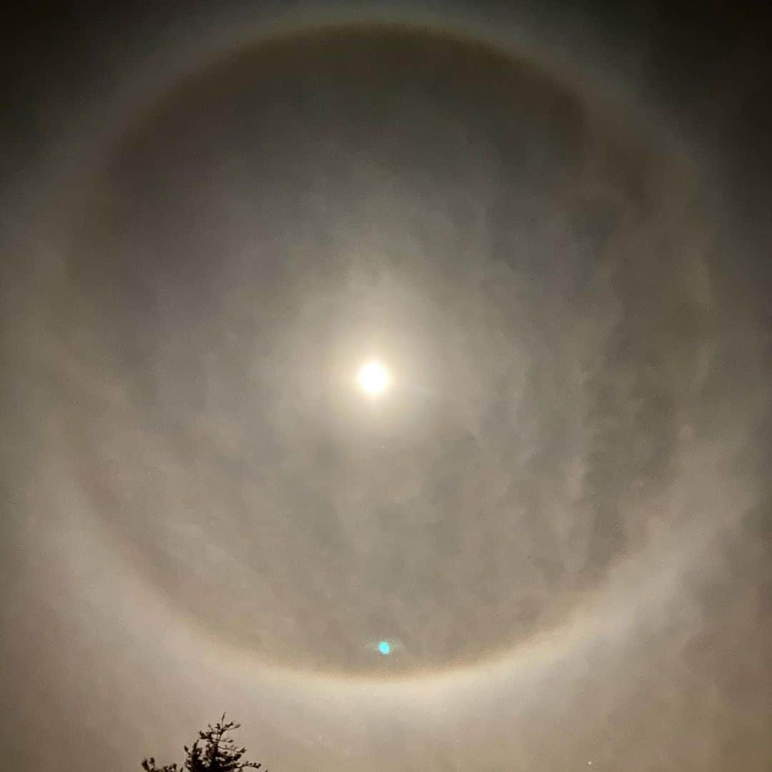 テリー・ハッチャーのインスタグラム：「The #fullmoon often signifies a height of power, a rebirth, a new cycle, opportunities for clarity, release and the realization of your desires...so many things we all need and can focus on right now. We can continue to give thanks for the things in our lives that are good even when so many things remain difficult. I have friends sick with Covid, I myself was apart from my parents and daughter this holiday because of an exposure scare (which is why I did not post my typical holiday photo) but gratitude has been on my mind.  We must be mindful of what is truly important.  #love After going to bed really early tonight I woke up to let the dog out and looked up to see this magical moon moment. A camera can never catch it but I felt like I was looking at a portal. One that I could adventure through if not for the many loved ones I’d miss. I chose to sit and meditate under it in the cool night air and release my fear and invite acceptance and gratitude and love. I appreciated what this beautiful world and all the people in it have to offer. Hope it is helpful to you. Every moment can be a lesson. The moon is full for a few more hours depending on where you are. Get out and share a moment with it. Have a good week everyone! Sending love  and strength if you need it.」