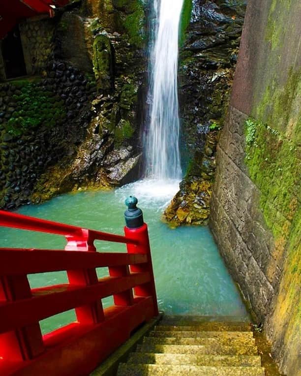 Rediscover Fukushimaさんのインスタグラム写真 - (Rediscover FukushimaInstagram)「Would you walk down these stairs? 😏  For many years, locals have used this waterfall at Nakano Fudoson Temple for purification rituals. Every February a festival takes place where temple officials will wade into the freezing cold water in white robes to perform a special purification ceremony. ⛩✨  In February there may still be snow here, can you imagine going under a cold waterfall in the SNOW?? ⛄️❄️  Take a journey through a deep cool forest to discover the Nakano Fudoson Temple, framed by two towering Japanese Cedar trees and this beautiful waterfall. 🌲⛩🌲  Read more about Nakano Fudoson Temple on Facebook at "Travel Fukushima Japan" and on our website: https://fukushima.travel/destinat…/nakano-fudoson-temple/174  So, would YOU like to visit this temple? I would love to hear your thoughts in the comments below! 😄  🏷 ( #Fukushima #Fukushimagram #Japan #Temple #VisitFukushima! #JapanTrip #JapanTravel #福島 #福島県 #福島市 #VisitFukushima! #JapaneseTemple #JapaneseShrine #JapaneseSpirituality #NakanoFudosonTemple #中野不動尊 #Bhuddism #bluegatoradewater  #JapaneseBhuddism #BhuddisminJapan #Waterfall #WaterfallStaircase #EpicStairs #JapaneseCedar #Purification #EternalFlame #ImmortalTorch #Instadaily #Natgeoyourshot #Photooftheday ) 🗾✨」11月30日 15時35分 - rediscoverfukushima