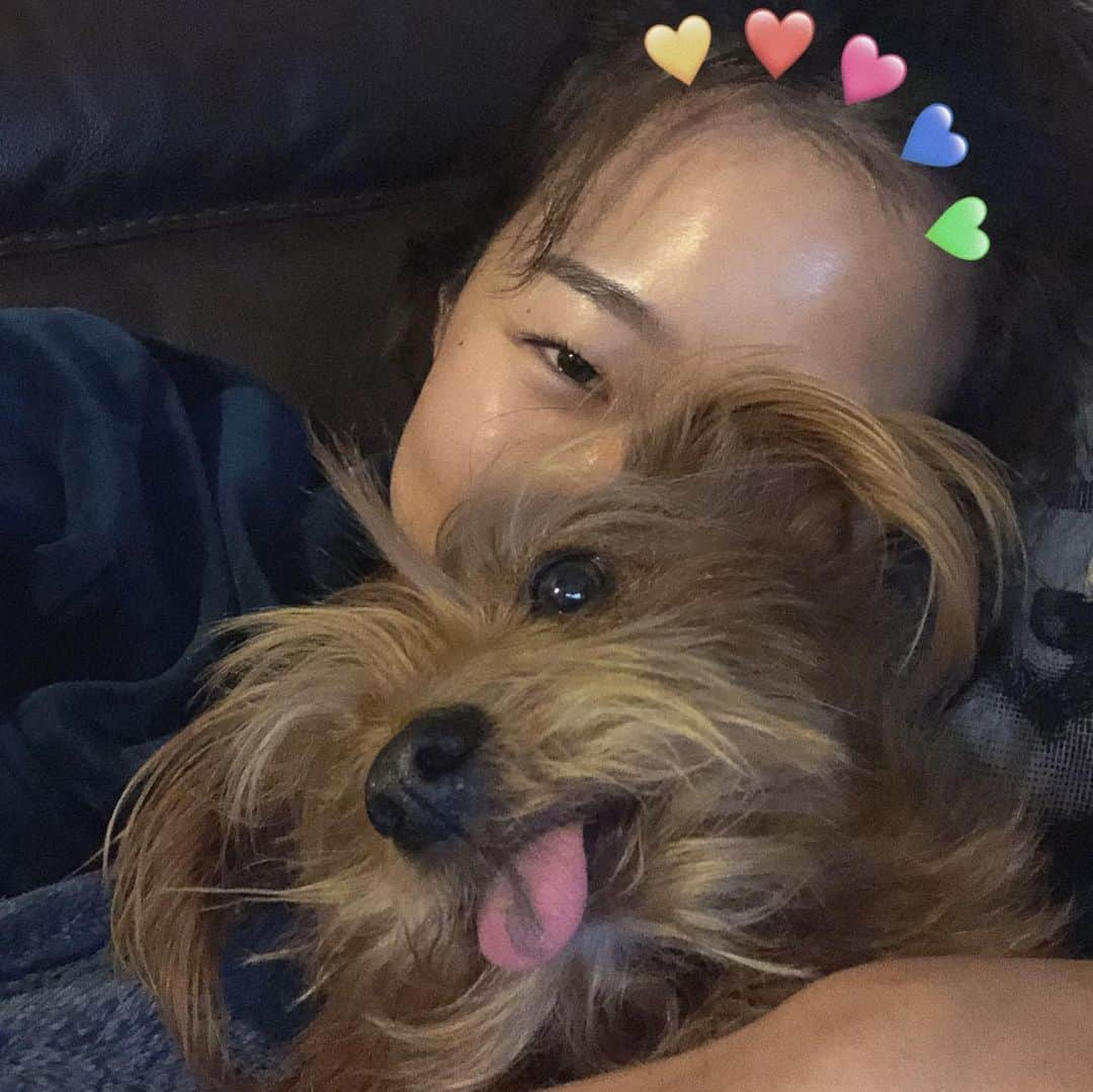 ヒョニ・カンさんのインスタグラム写真 - (ヒョニ・カンInstagram)「🐕➡️ 🐕」11月30日 15時36分 - hyoni_kang