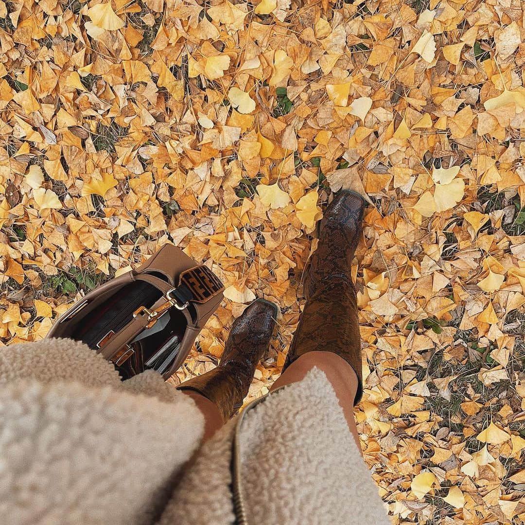 WAKAKOのインスタグラム：「イチョウの絨毯🧡 . . #京都#紅葉#京都カフェ巡り」