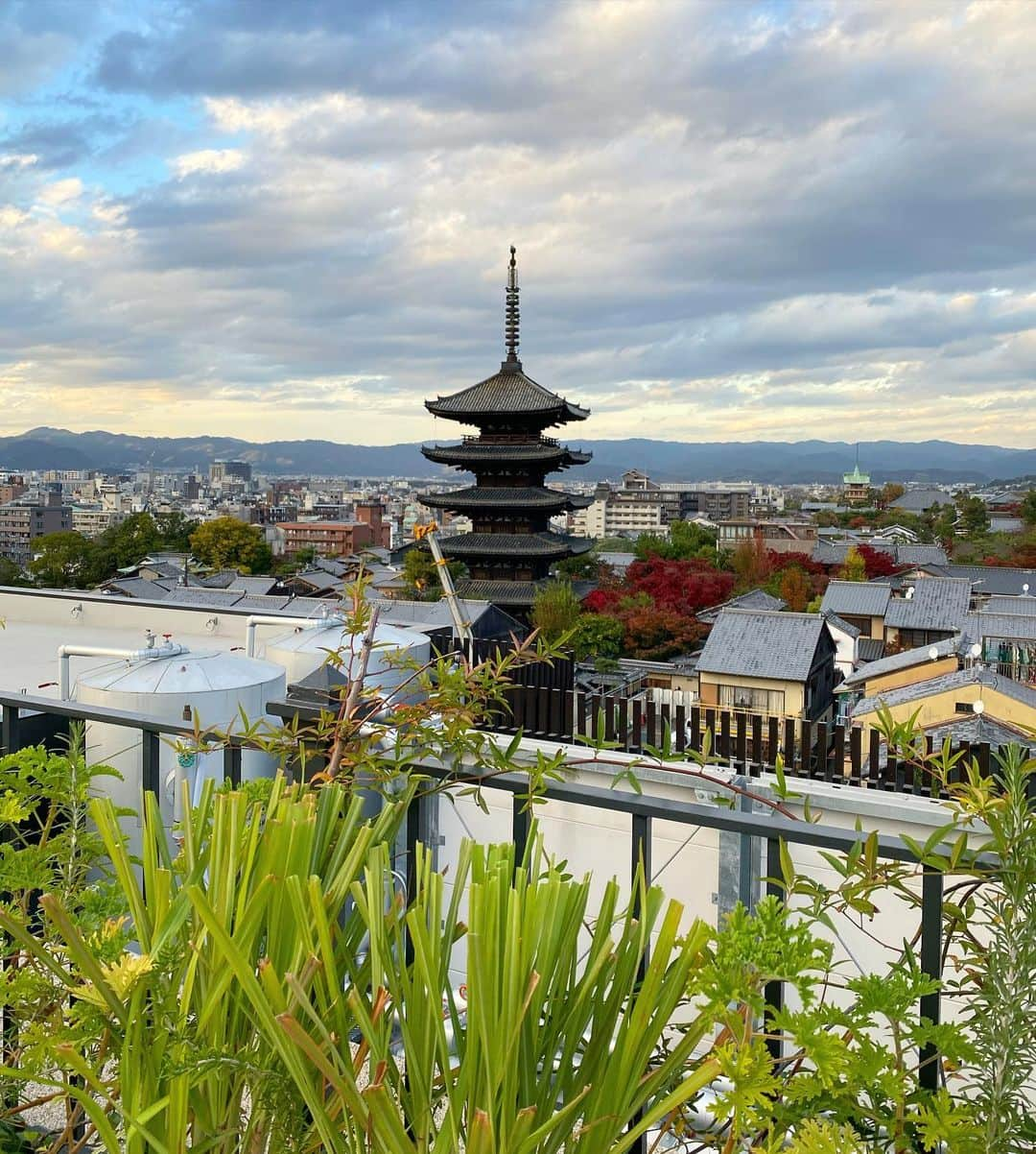 得あゆさんのインスタグラム写真 - (得あゆInstagram)「絶景！360°京都一望🍁✨✨✨ ・ ホテルで大人気のBAR🥂【K36】 京都を360°一望しながら お酒を飲んだり軽食を食べたりできます✨ 宿泊しない方にも大人気で紅葉の時期は 大行列でした🍁❤️ 宿泊者の方は時間を予約できるので スムーズに入れておすすめです❤️ @thehotelseiryukyotokiyomizu @k36bar_kyoto ・ 京都投稿まだまだ続く🍁❤️ ・ ・ ・ ・ ・ ・ ・ ・ ・ ・ ・ ・ ・ #k36#bar#ホテル#ホテル青龍#京都#京都紅葉#京都観光#京都グルメ#京都カフェ#京都旅行#紅葉#紅葉狩り#清水寺#散歩#観光#女子旅#タビジョ#国内旅行#秋コーデ#秋#ニット#コート#gotoキャンペーン#kyoto#kyotojapan#kyototrip#autumnleaves#kyototravel#japantravel#japanesegirl」11月30日 16時28分 - tokuayu819