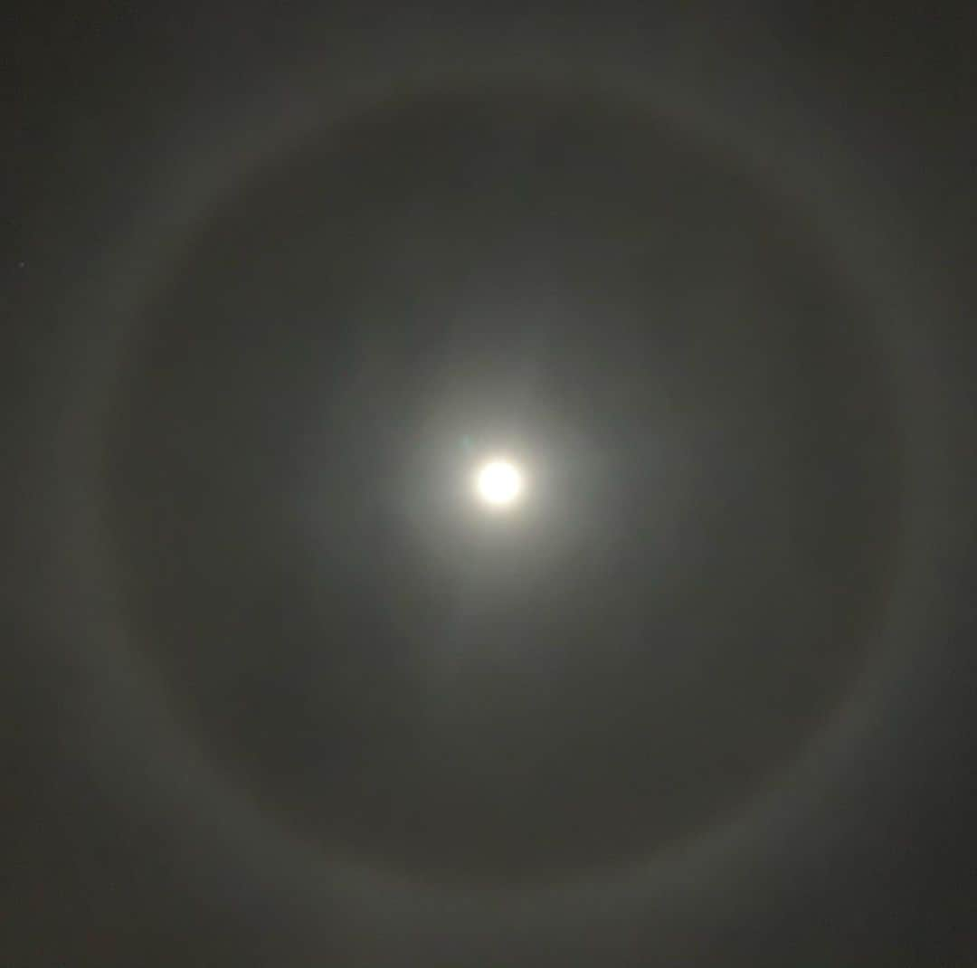 ボニー・モーガンさんのインスタグラム写真 - (ボニー・モーガンInstagram)「A lunar halo. With everything that’s going on, tonight I’m unimaginably thankful for the love, family, friendship, and  exquisite beauty that still fills my life. Happy Thanksgiving weekend Everyone! Wishing you all tidings of comfort and joy #thanksgiving #lunarhalo #lunacy #adventuresofbendybonnie #lifeisbeautiful #thankful #blessed #staysafeandhealthy #bendybonnie」11月30日 16時33分 - bendybonnie