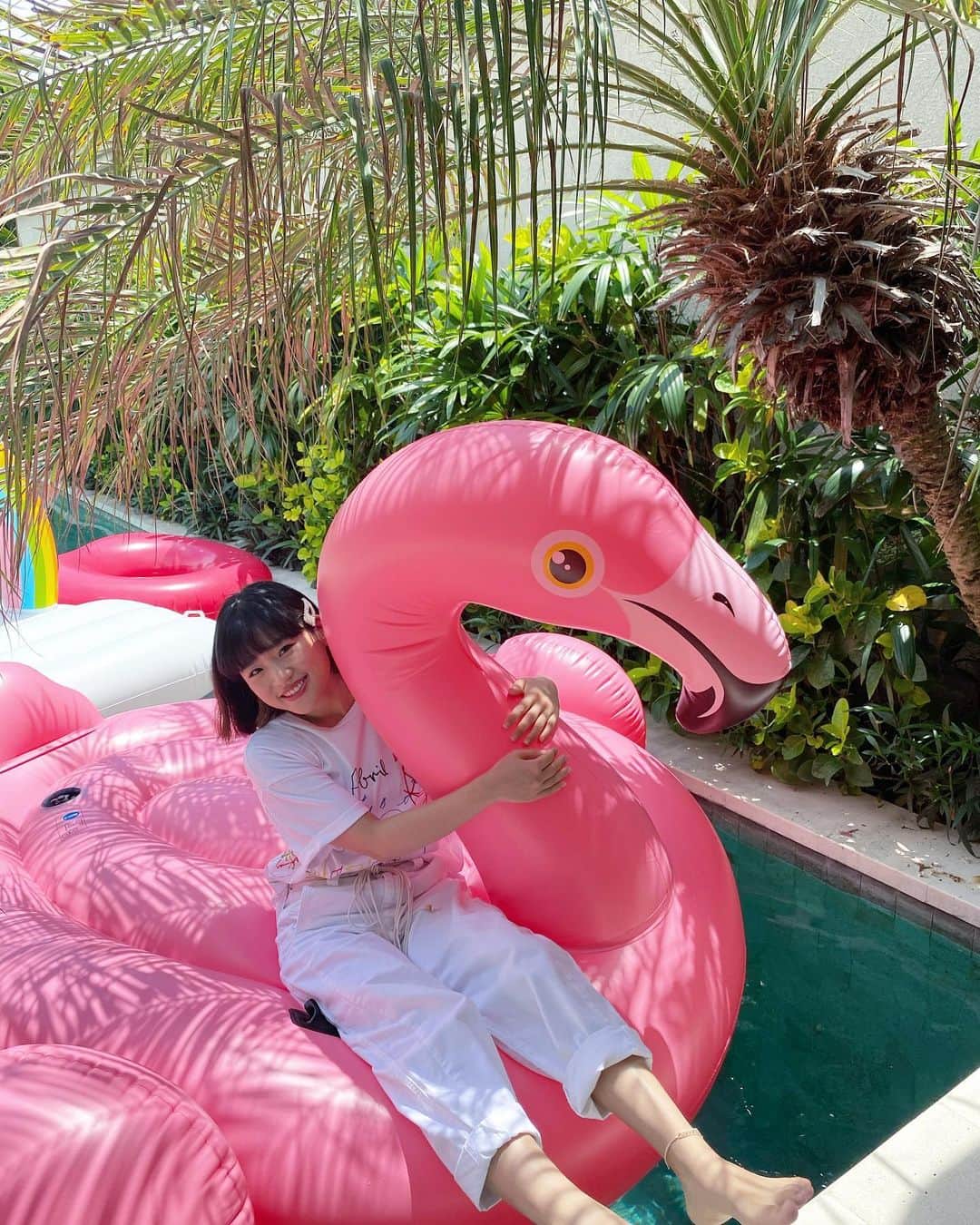 仲川遥香さんのインスタグラム写真 - (仲川遥香Instagram)「Bali🦩  #indonesia #bali #holiday #Flamingo #pool #harukanakagawa #インドネシア #バリ島 #フラミンゴ #プール #仲川遥香」11月30日 16時42分 - haruuuu_chan