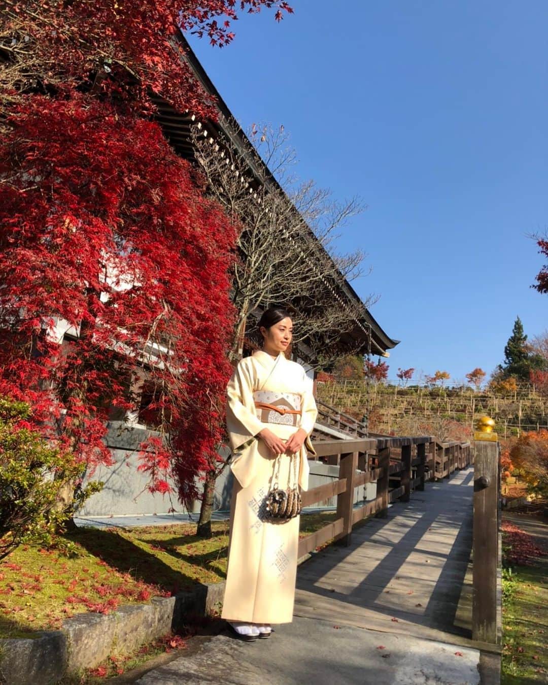 南早苗のインスタグラム：「11月も最終日🍁 秋の振り返り。 目に鮮やかな紅葉がもう懐かしいなぁ😌 これから寒さに負けず過ごしていきましょう😆　  @kurikara_fudouji  さん　 先日もたくさん写真を撮っていただき モデル気分を味わえました✨ ありがとうございました！  @gofukunoasakawa  さん　ワイワイ撮影会。また行こうね！ 素敵に撮ってくれてありがとう！  #倶利伽羅不動寺西之坊鳳凰殿  #着物　#着物生活　#kimono #kimonostyle  #着物好きな人と繋がりたい  #加賀友禅　#朝川呉服店　#カメラマンたえさんバージョン」