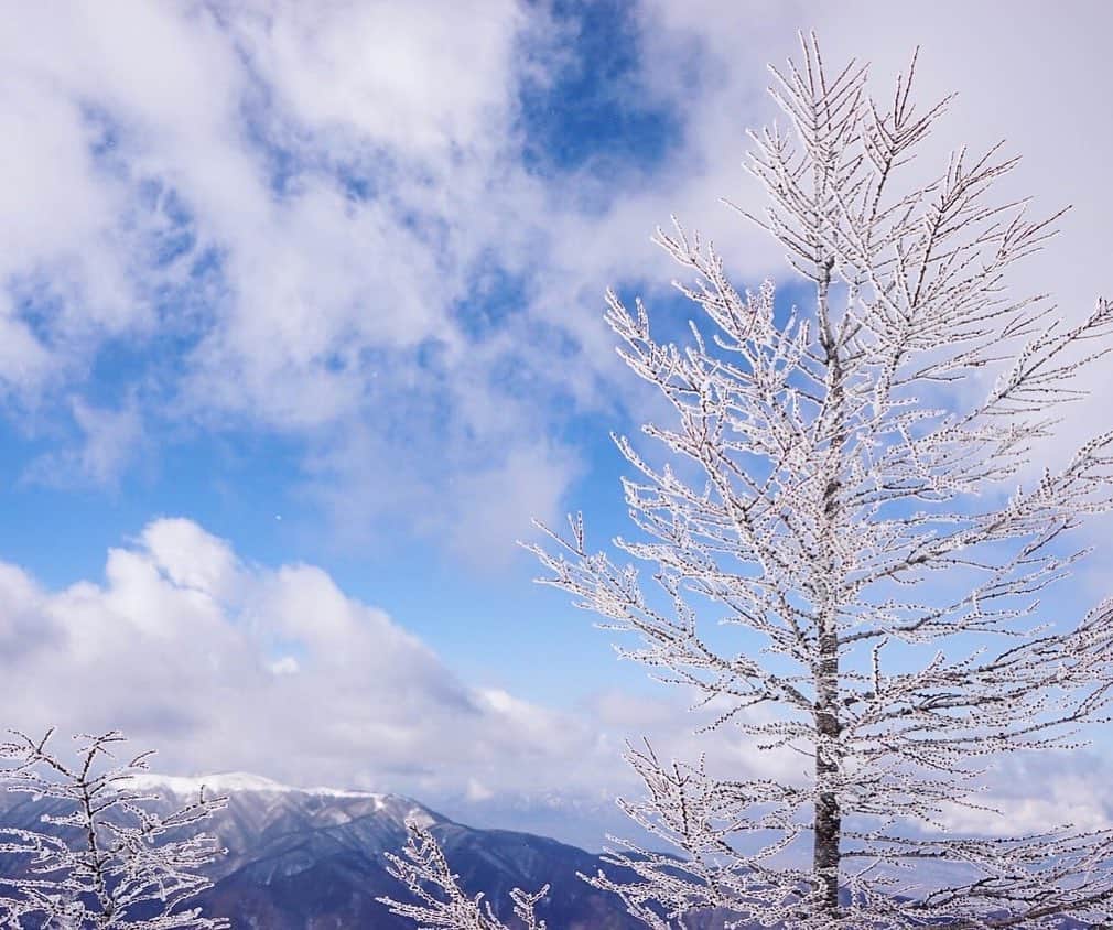 生活の木 Tree of life 【公式Instagram】さんのインスタグラム写真 - (生活の木 Tree of life 【公式Instagram】Instagram)「【今日は満月＆月食🌝】  11月の満月は、フロストムーンと呼ばれるそう。 霜(frost)が降り始める季節、に由来するようですが 日本の旧暦では「霜月」。 文化を超えて、自然を愛でる心には 通ずるものがあるのかも知れませんね。 ㅤㅤㅤㅤㅤㅤㅤ 師走を前に、 コートを厚手のものに変えたり、 温かい飲み物を手にする機会が増えたり。 暖かく過ごす要素を上手に取り入れたいもの。 ㅤㅤㅤㅤㅤㅤㅤ 湯船に、バスオイル。 お風呂上りに、トリートメントオイル。 そして内側から温まる、ジンジャー入りのハーブティーはいかが？ ㅤㅤㅤㅤㅤㅤㅤ 自分にぴったりの ”あっためアイテム” 見つけてくださいね。  今年もあと1ヶ月。 暖かくしてお過ごしください。 ㅤㅤㅤㅤㅤㅤㅤ   #生活の木 #満月 #コラム #月のリズム#満月の夜  #霜月#和風月名 #霜#月食#11月の満月 #満月の過ごし方 #月 #月の満ち欠け#温める #温活 #セルフケア #アロマテラピー#ボディトリートメント #香り #アロマ #精油 #ブレンド精油 #ローズ #ラベンダー#ジンジャー #バスオイル #自然と暮らす #ウェルネス #frosty#fullmoon」11月30日 16時56分 - treeoflife_official
