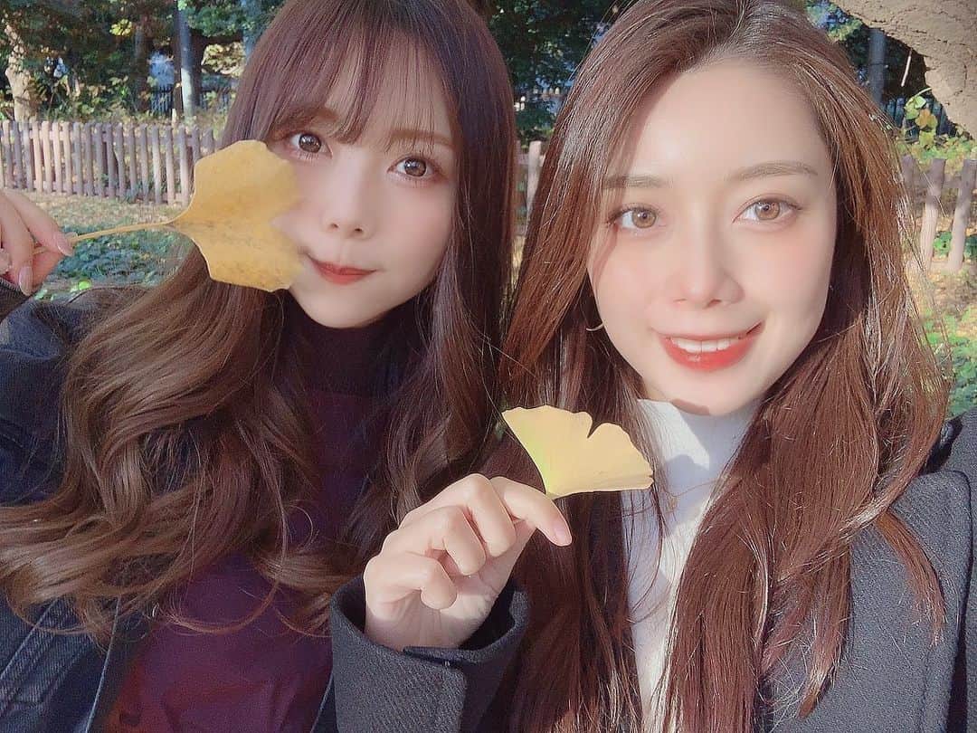 西村季里子のインスタグラム：「・  いつ会っても美しいももちゃんと 今年も一緒に紅葉見れて幸🥰🍁  ランチに食べたウニたらこイカパスタも とってもおいしかった🥰🍝  心が浄化された🙏🏻 ありがとももちゃん🙏🏻  #紅葉#イチョウ#銀杏並木#銀杏 #外苑前#表参道#秋#金木犀 #ランチ#lunch#パスタ#pasta #麦小家 #follow#followｍe」