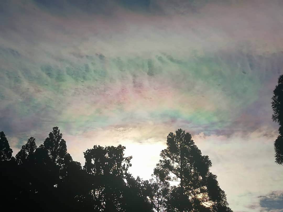 千種ゆり子さんのインスタグラム写真 - (千種ゆり子Instagram)「今朝出会った彩雲。 . こんな大規模なの初めて出会った。大興奮でした。携帯でも補正無しでこれだけ綺麗✨ . ちなみに彩雲とは、太陽の周りが虹色に色付く現象で、CDの裏面やシャボン玉が虹色に見えるのと同じ原理です。 . #彩雲 #気象予報士 #空が好き #空が好きな人と繋がりたい #空を見上げよう https://t.co/xwI5dMp1Ne」11月30日 17時21分 - chikusa_yuriko