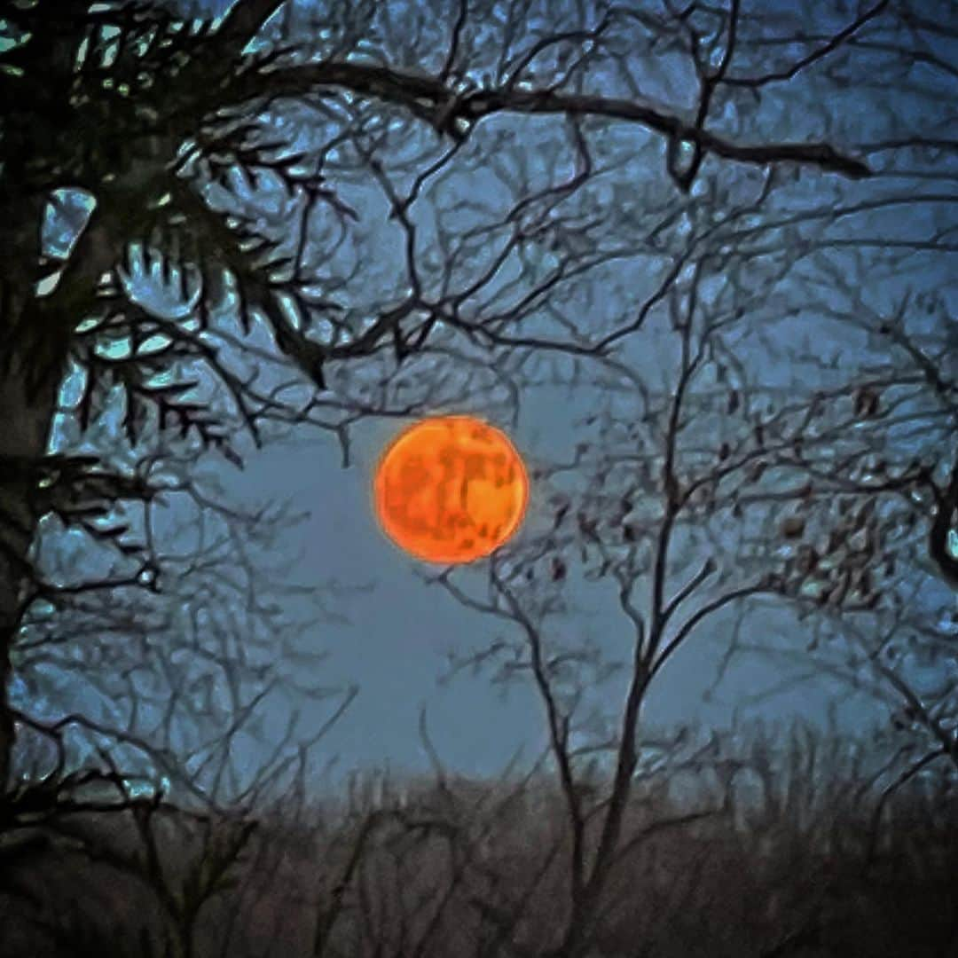 ロン・ハワードのインスタグラム：「might be the most amazing #moonrise I’ve seen  Hope you and loved ones had a safe and healthy Thanksgiving weekend. And, Many thanks to all who watched  and thoughtfully commented on or rated #HillbiillyElegyMovie  I appreciate the engagement & feedback」