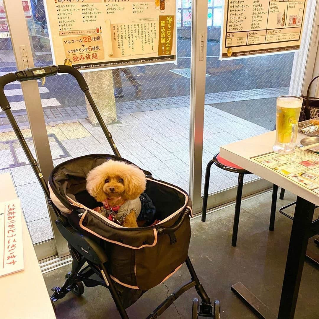 串カツ田中のインスタグラム