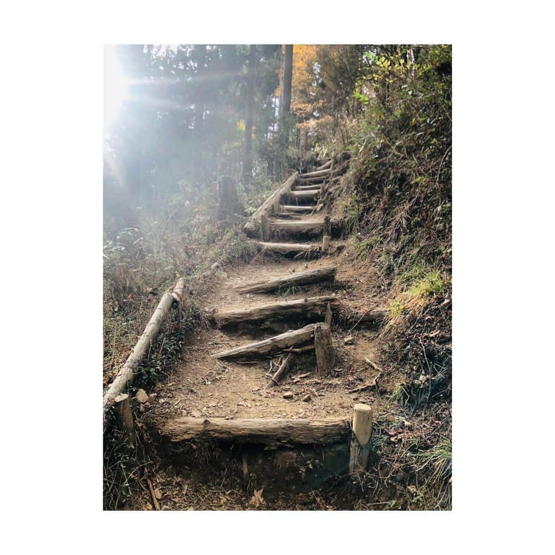 森田真以さんのインスタグラム写真 - (森田真以Instagram)「🔥 都内から2時間位で行ける御岳山🍃 登山は三密回避できるし、 ずっと屋外だからオススメ👏🏻💗 . 高尾山は都内からもアクセス良いし 紅葉シーズンということもあって かなり混んでたけど、 御岳山は人も少ない💪🏻 . 運動不足解消&自然と戯れたい人には 是非訪れて欲しいです🙌🏻❣️ . . . #mountain #climbing #hiking #sky #autumn #travel #nature #travelgram #outdoor #japan #workout #mitakesan #training #秋 #登山 #紅葉狩り#紅葉 #紅葉 #アウトドア #御岳山 #奥多摩 #青梅 #おすすめスポット #🍁 #山 #山ガール #絶景」11月30日 17時41分 - morita_mai