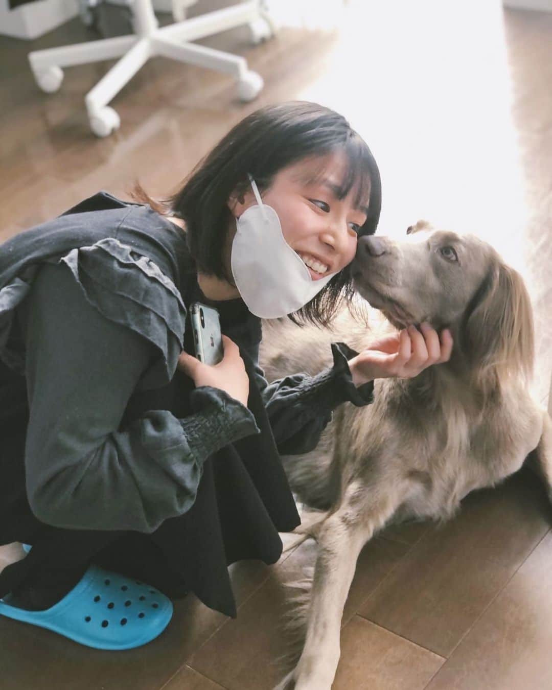 生越千晴のインスタグラム：「昨日は『迷子の時間』東京千秋楽でした。 足を運んでくださった皆様、気にかけてくれた皆様、本当に本当にありがとうございました。 無事大阪も駆け抜けれますように。  今日は地元のお仕事でした。嬉しい💠 現場にいたワイマナラーロングのエルマー🐕‍🦺 ほんっとに美しくて賢くていい子で可愛かったー。」