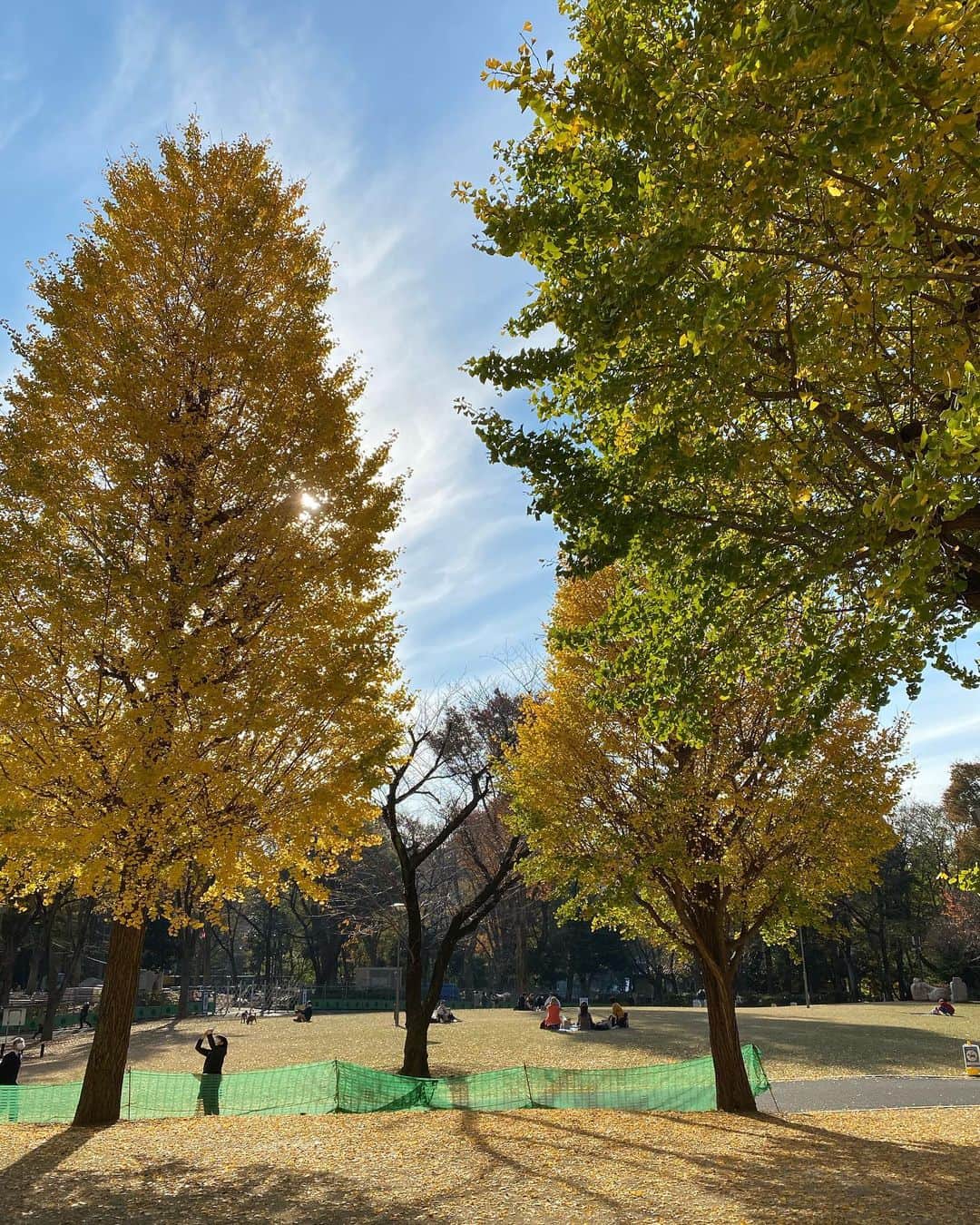 レンナ（RENNA）さんのインスタグラム写真 - (レンナ（RENNA）Instagram)「💛❤️🤍  11月はスーパーハードだったけど 楽しいこともたくさんあったな☺️❤️ 明日からもう12月！ 気を引き締めてがんばろう〜😌✨  #新宿中央公園 #ピクニック #お散歩 #イチョウ #紅葉」11月30日 17時54分 - renna_tkmr
