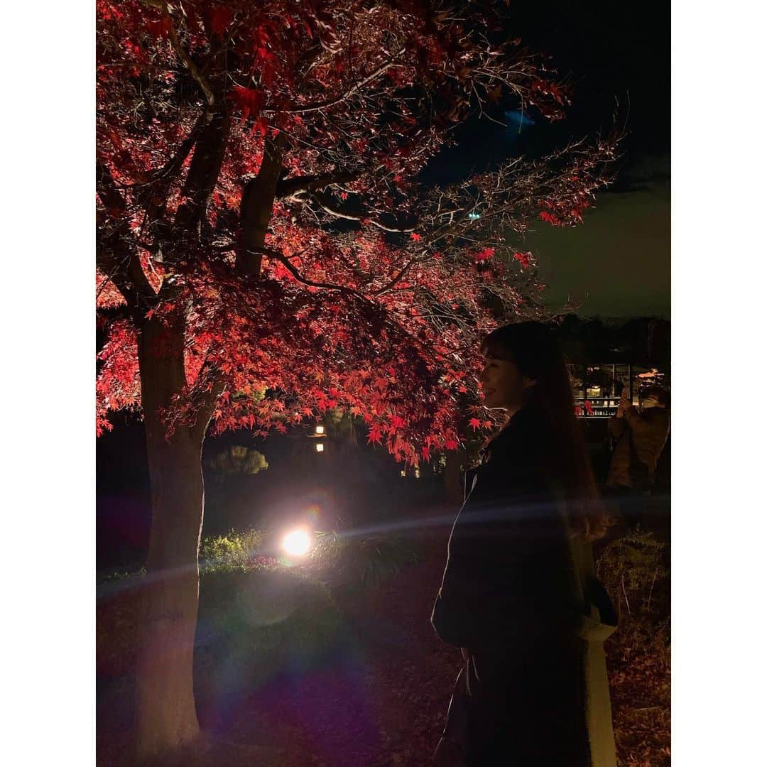 赤嶺紗羅さんのインスタグラム写真 - (赤嶺紗羅Instagram)「11月も最終日、明日から12月ですね🍃 紅葉は夜がとっても美しい…🍁🌝🌾 ， ， The fall leaves are so beautiful in the night. ， ， ， ，  #diet #fitnessgirl #japanesegirl #japantrip #fallenleaves #japanese #osaka #japan #asiangirls #国内旅行 #旅行 #大阪紅葉 #ダイエット #ヨガ #ヨガ大阪 #ヨガインストラクター #撮影モデル #ボディメイク #全米ヨガアライアンス #紅葉ライトアップ #紅葉スポット #関西カメラ部 #秋コーデ #fallleaves #秋の夜長 #紅葉」11月30日 17時56分 - sara_am_0113